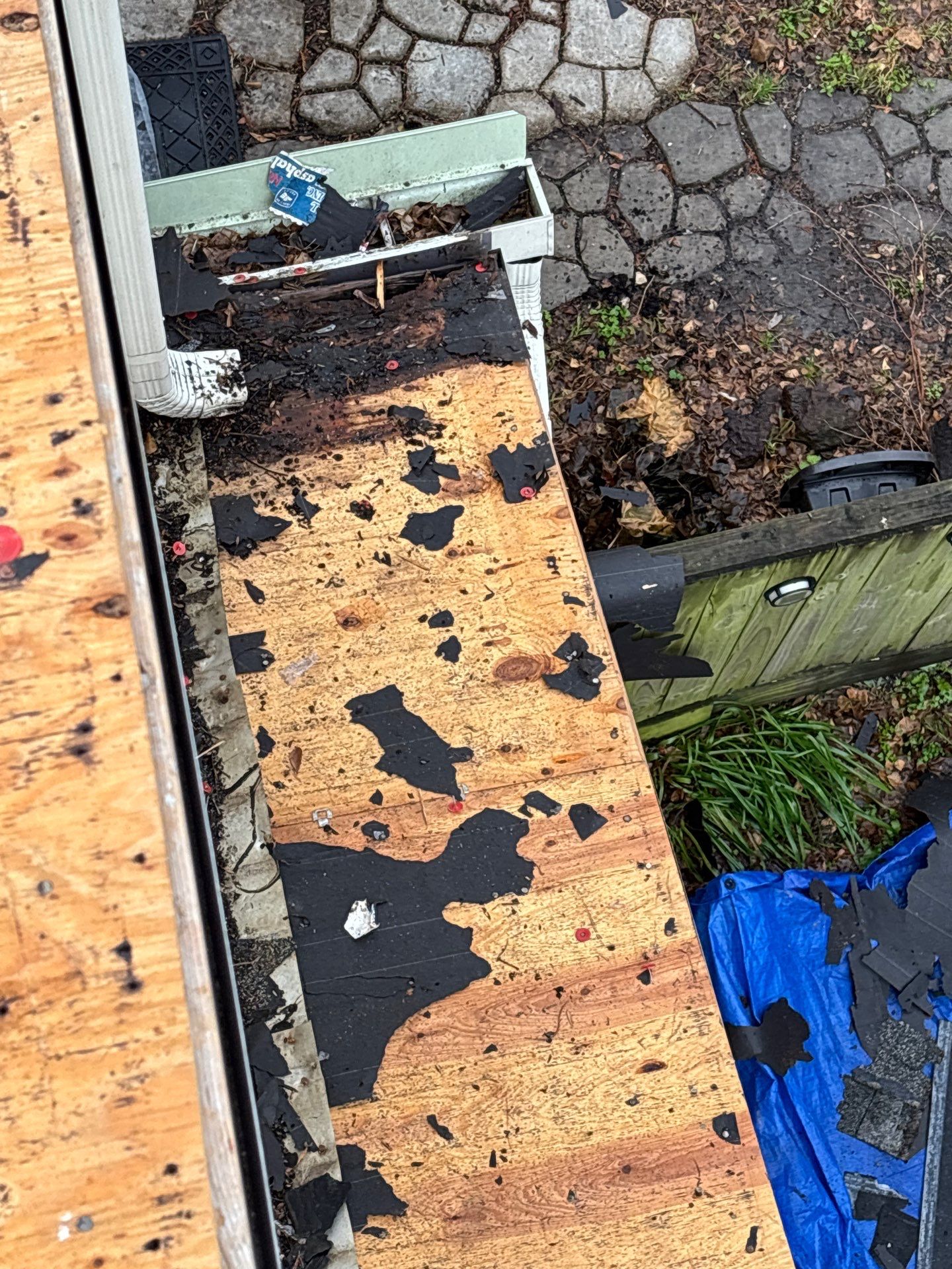 Roof Replacement Webster by Roof Repair Services LLC