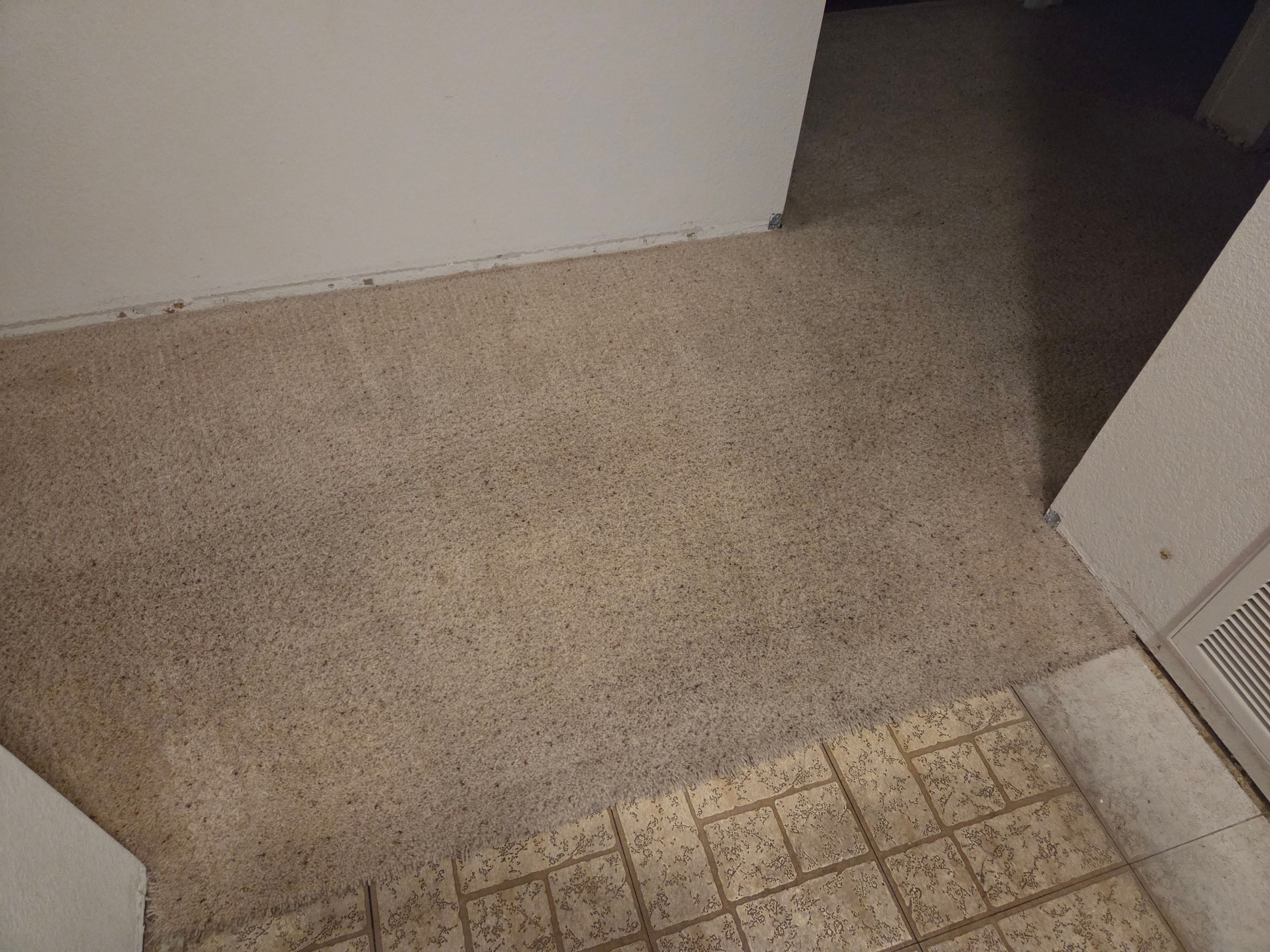 Carpet Re-stretching & Cleaning in Rosemont by Ardent Carpet Restore LLC
