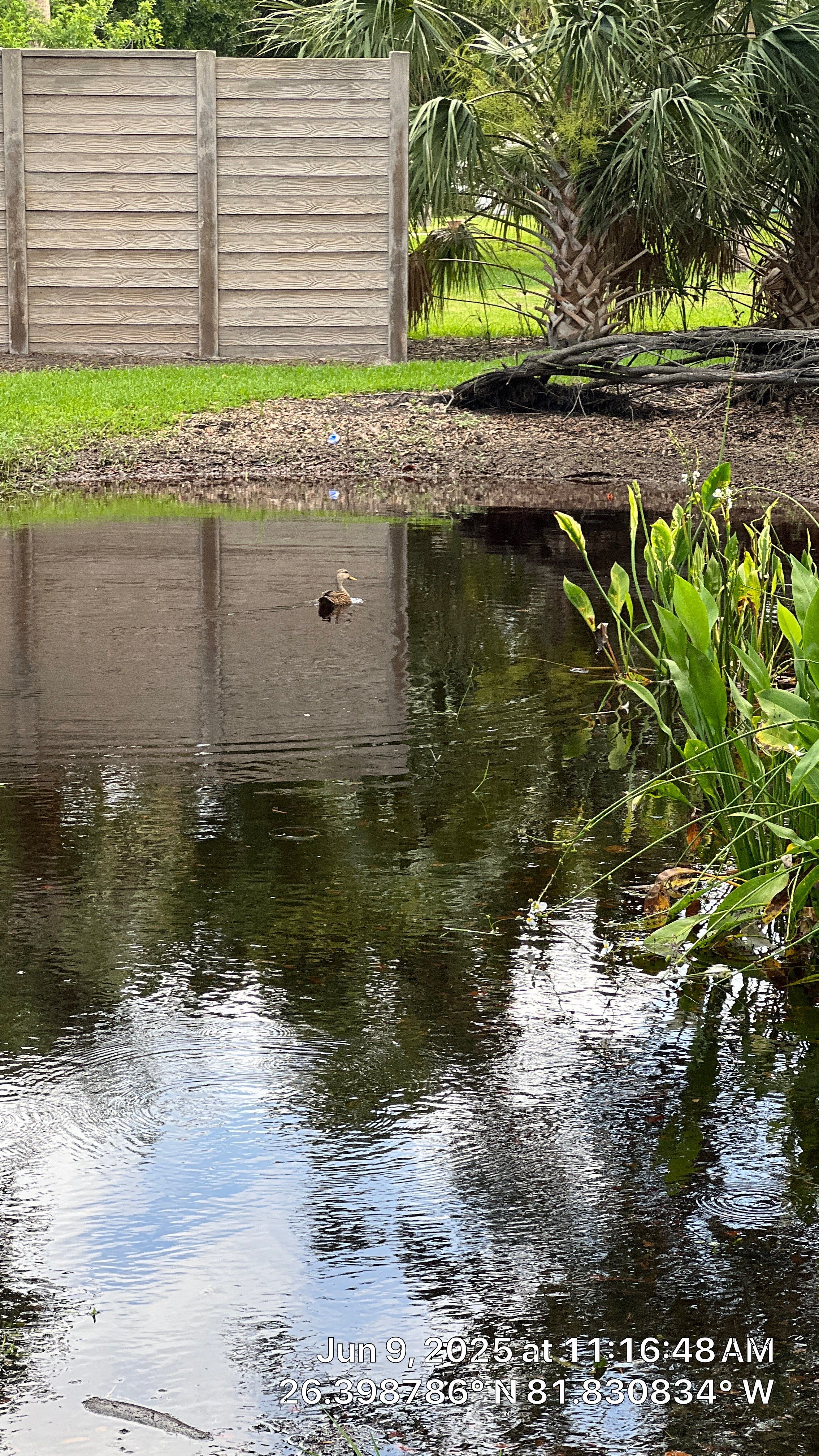 Pelican Landing Beach Parking Lot Stormwater System Maintenance by Don Mar, Inc. Storm Water Solutions