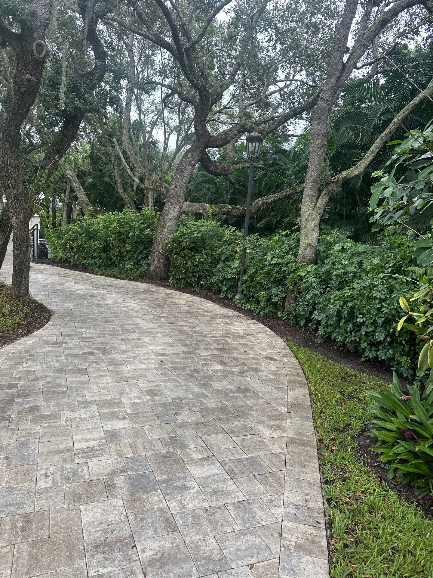 Sewall's Point Phase 1 - The Art of the Cutback by Alpha Zeta Enterprises Inc