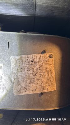 Mold Assessment in a 100+ year old house