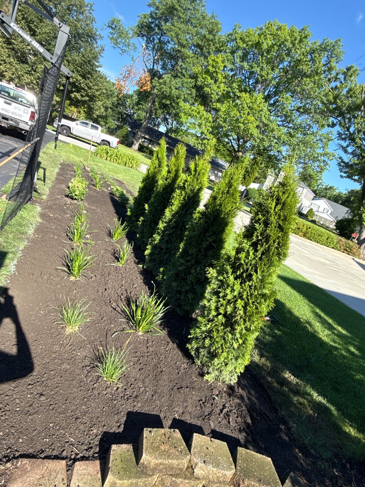 Anne P. - Arlington Heights, IL by A&N 