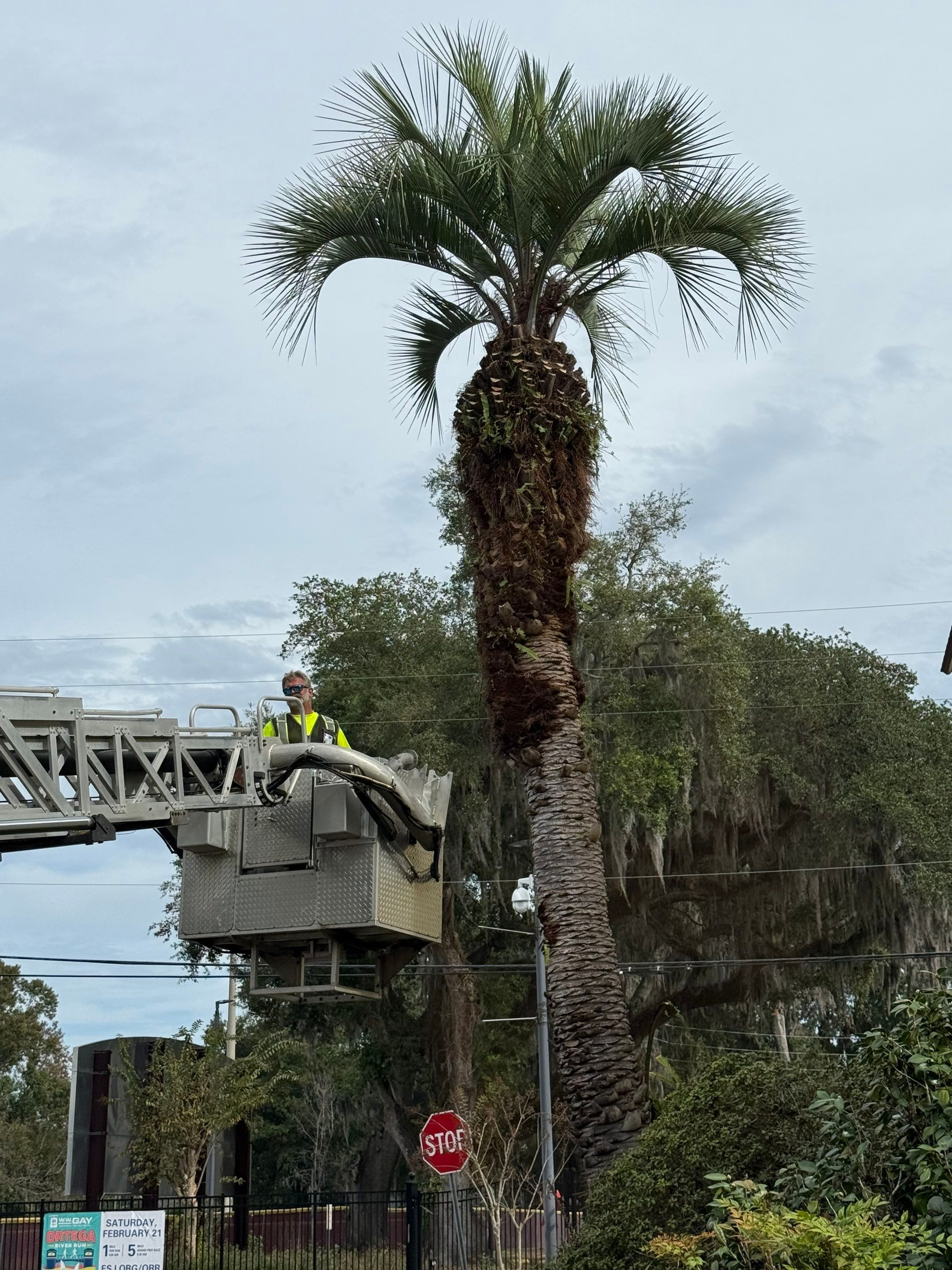 Volunteer Work | Episcopal High School of Jacksonville by ProGreen Services