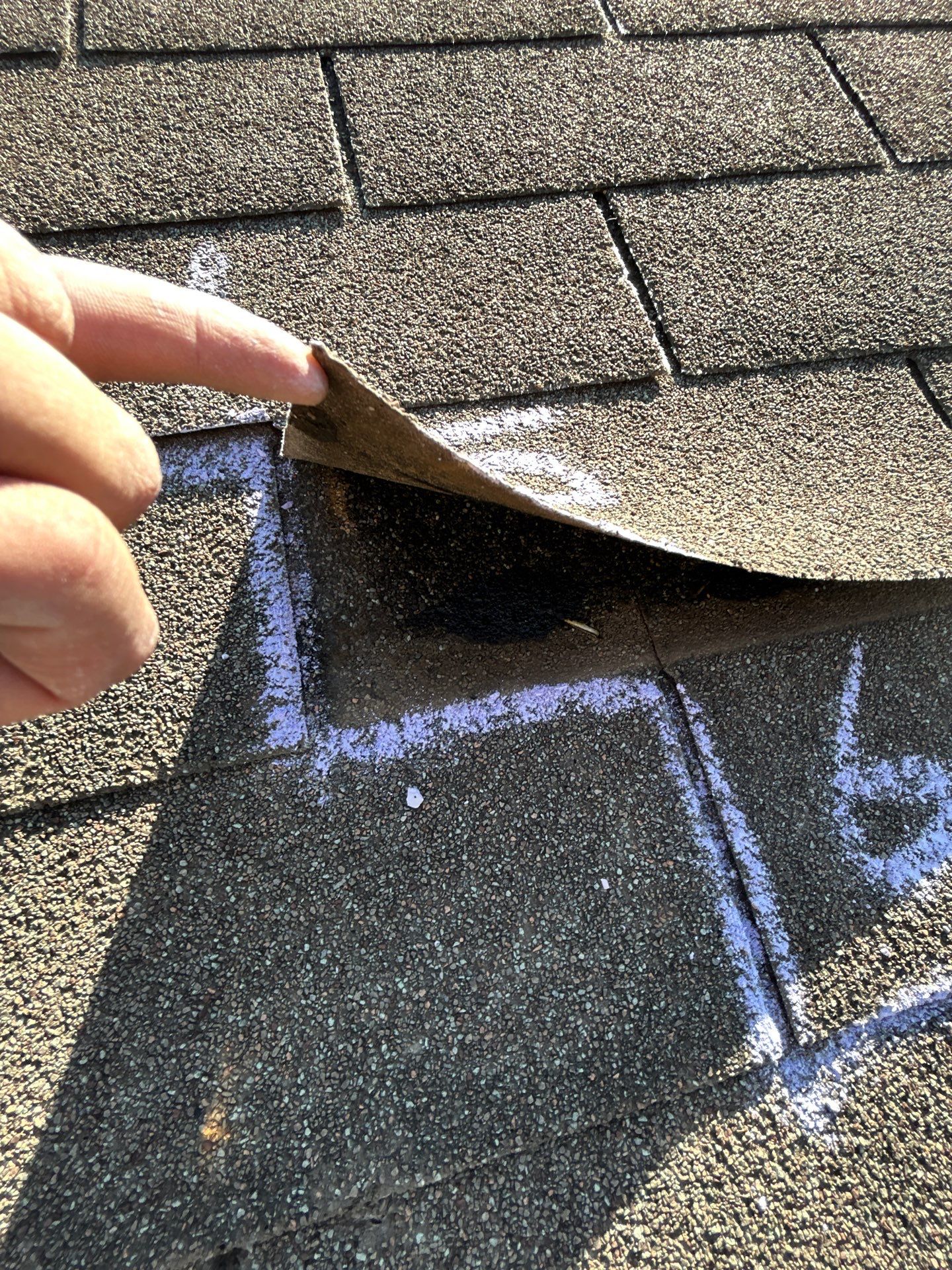 Miss Bridgette by REPS Austin Area Roofer