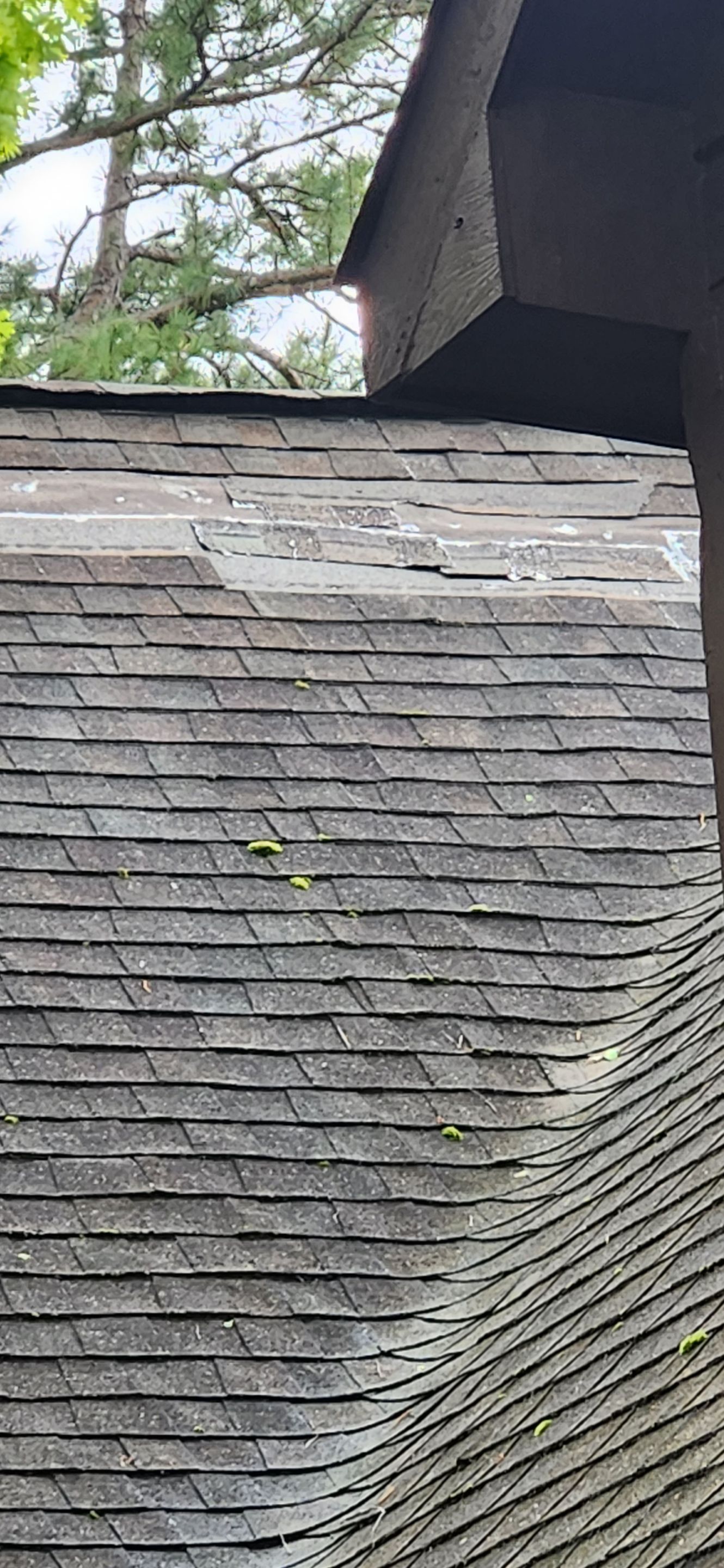 Residential Reroof: 40 Year Impact Rated Architectural Shingles by Hostetler Roofing