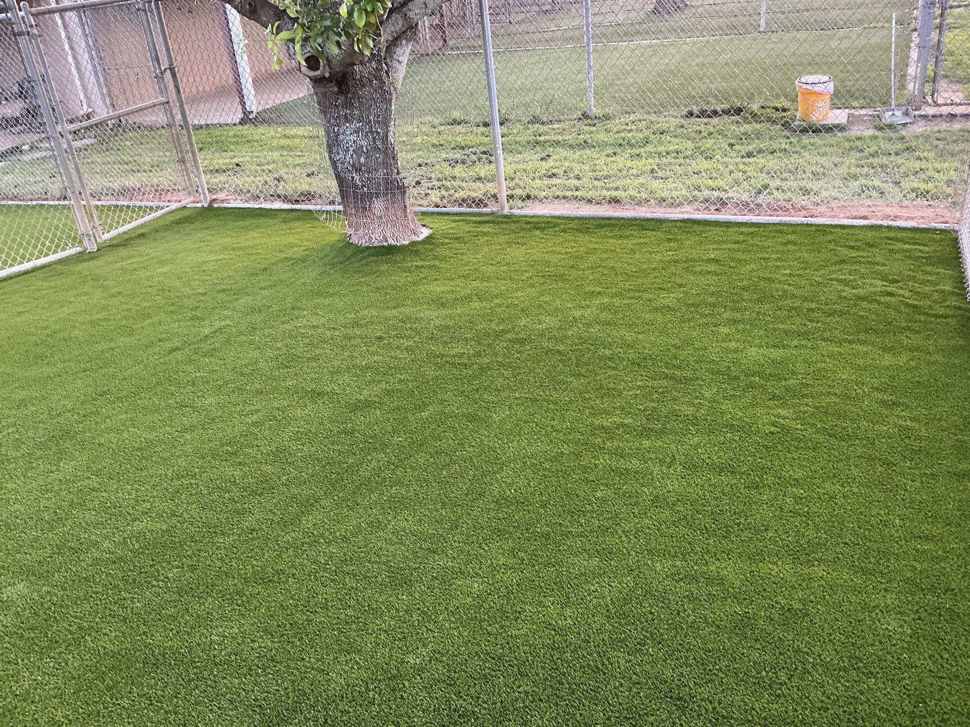 Synthetic Turf Installation using Pet Turf by Turf Concepts