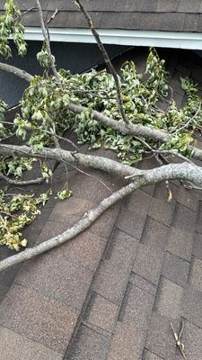 Turtle Shell gutter protection installation in Naperville, IL 60563, photograph 4