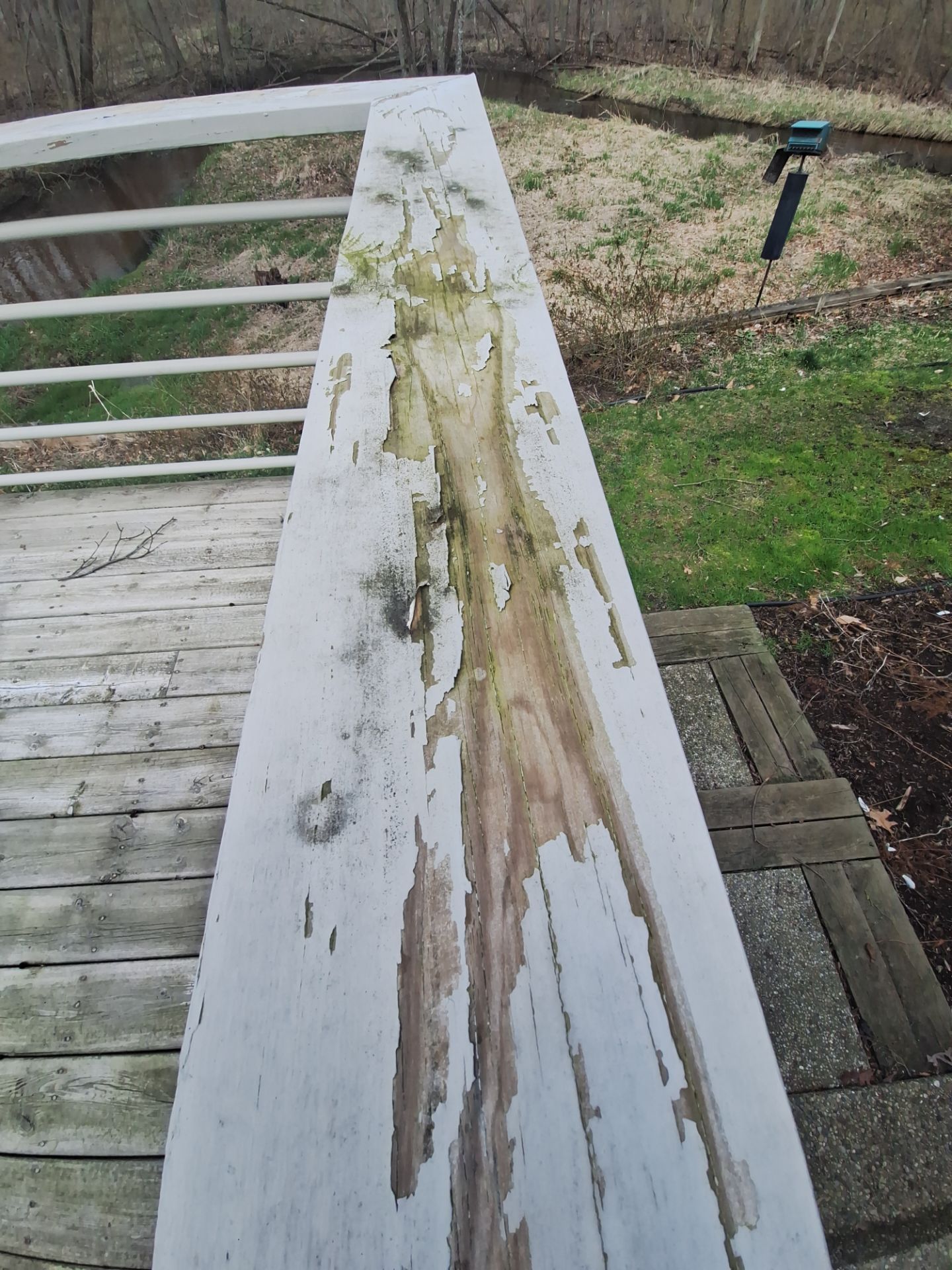 Deck Staining!! by Gordon Painting