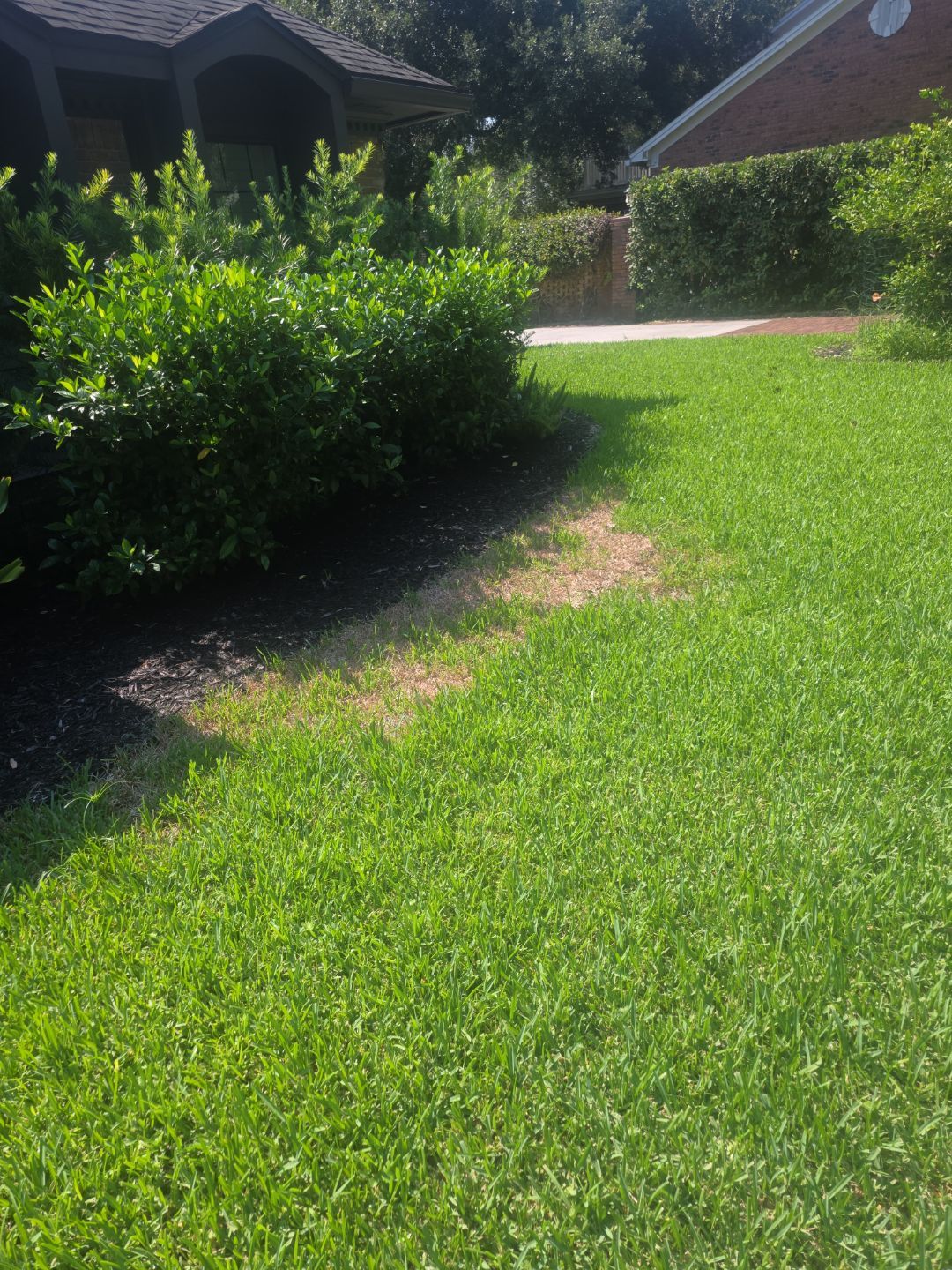Deerwood Resident | Sod & Palm Replacement  by ProGreen Services