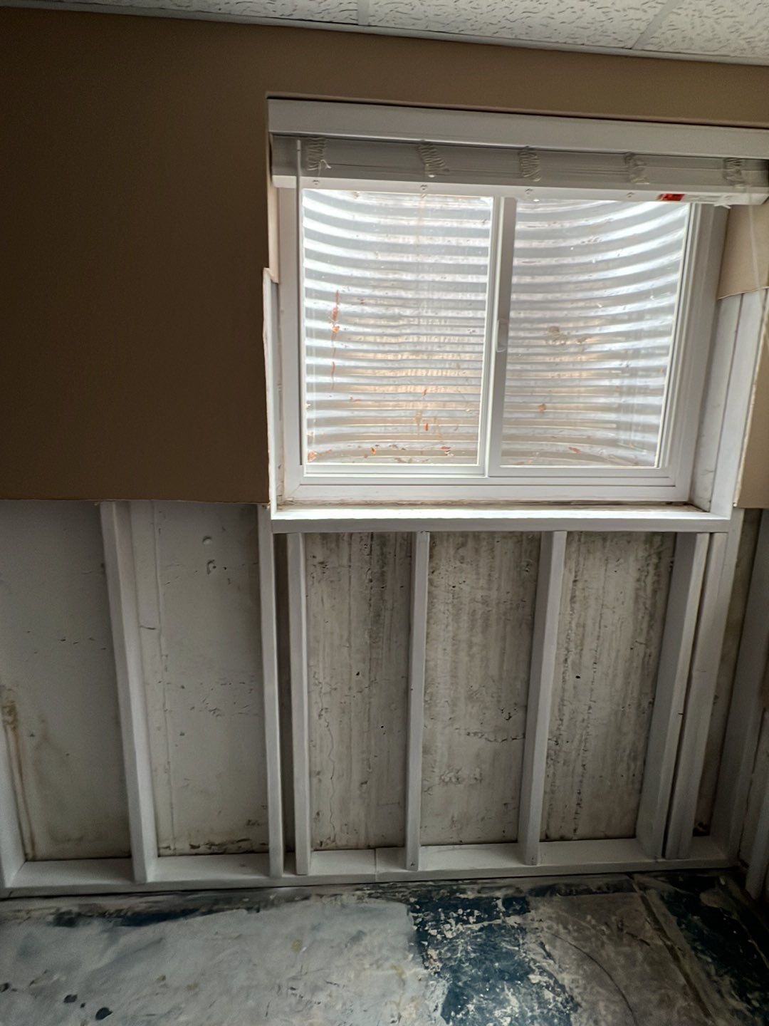 Mold Damage by Accountable Home Services