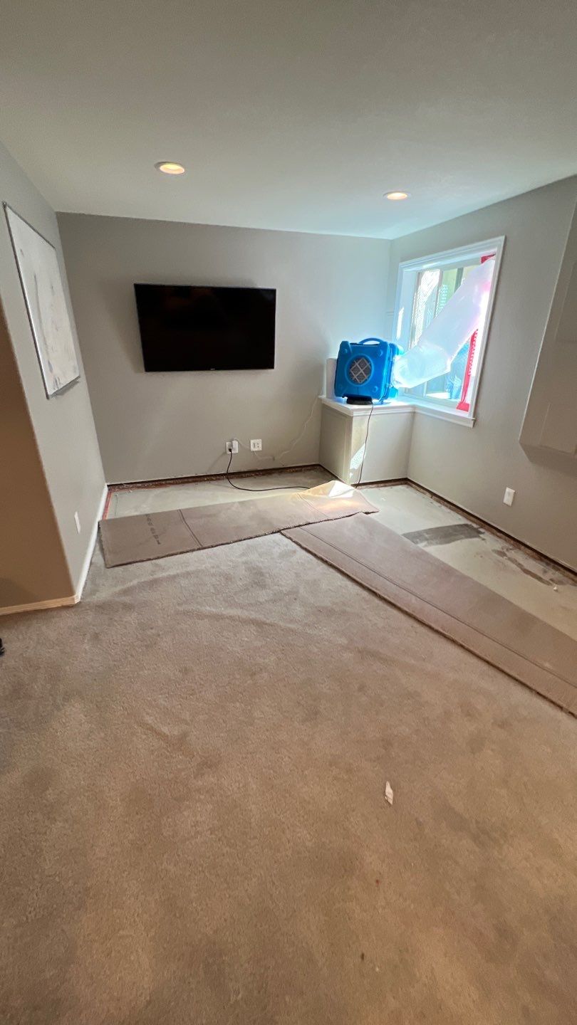 Mold Remediation  by Accountable Home Services