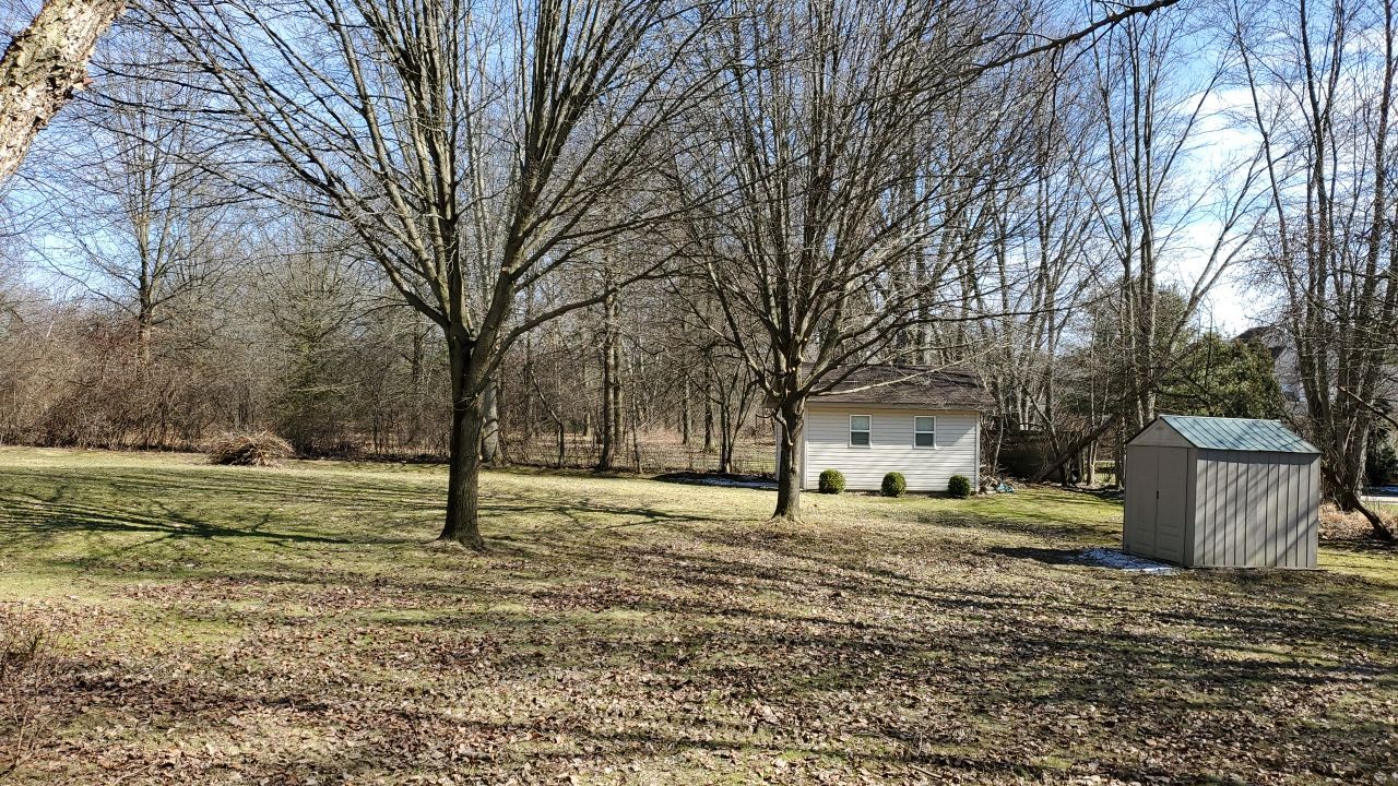 Tree Removal using Tree Removal by Mike Jones & Sons Tree Service LLC 