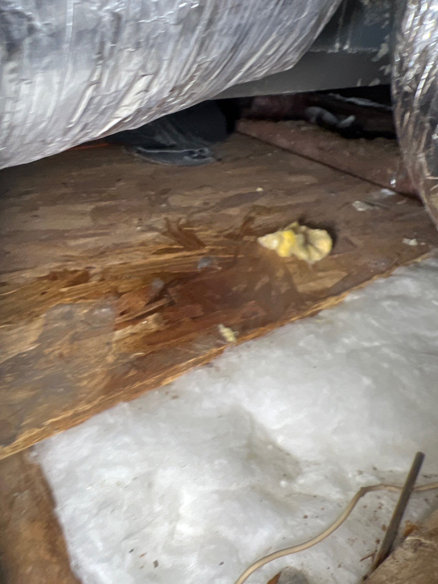 Leak Investigation & Repairs by JTX Pro Services LLC