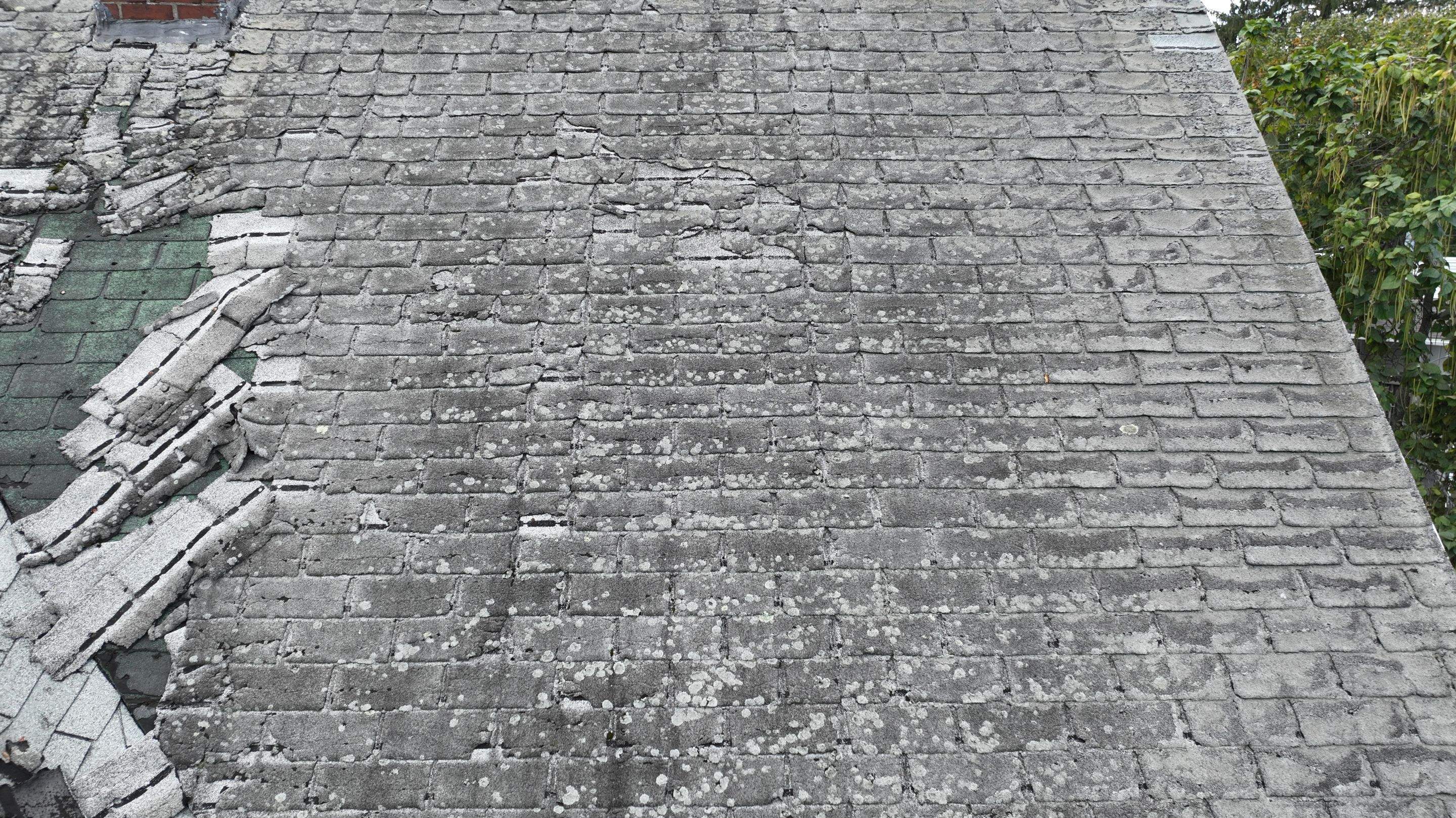 Residential Roofing Installation using Owens Corning TruDefinition by A Plus Exterior