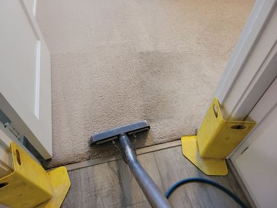 Carpet Cleaning in River Park