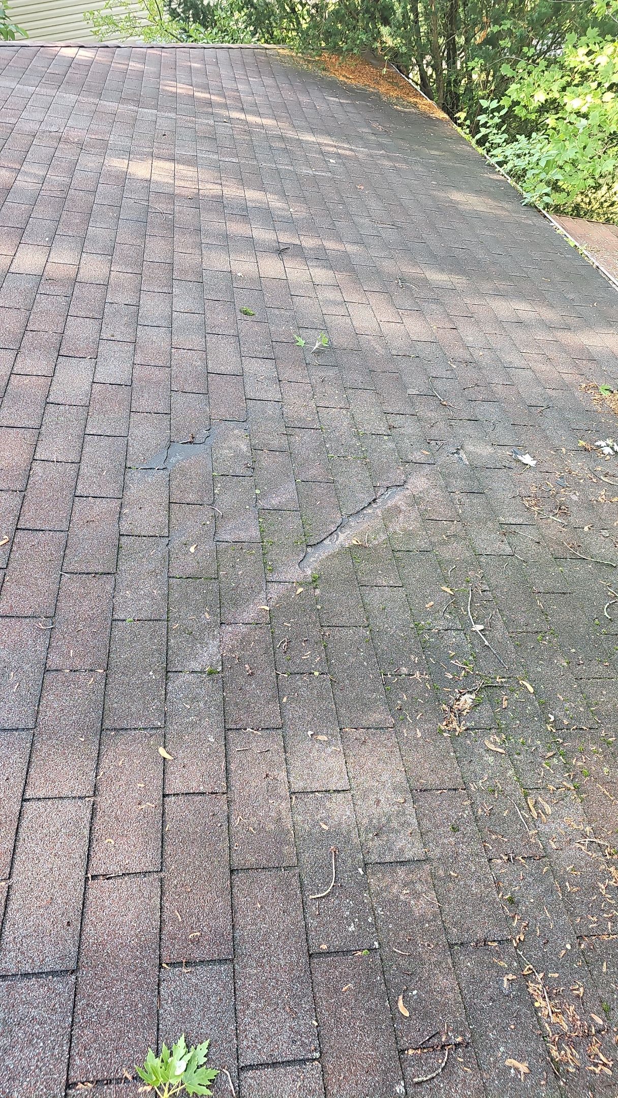 ATLAS PINNACLE COLOR: SUNSET by Eagle Eye Roofing