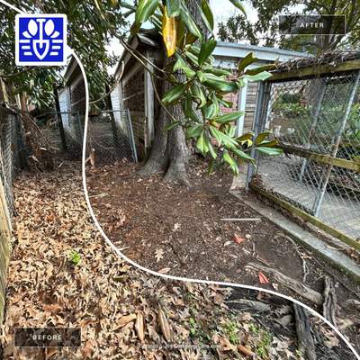 WINTER SERVICES: FULL LEAF JOB