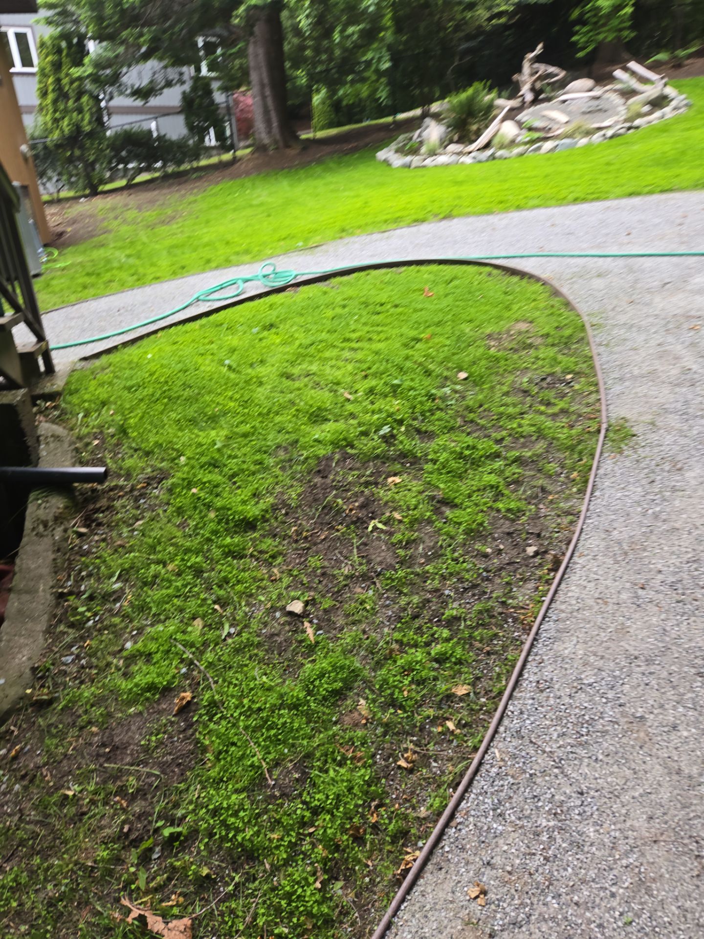 Complete Backyard Transformation with Eco-Lawn, Xeriscape, and New Chain Link Fence Installation by Habanero Garden and Exterior Care