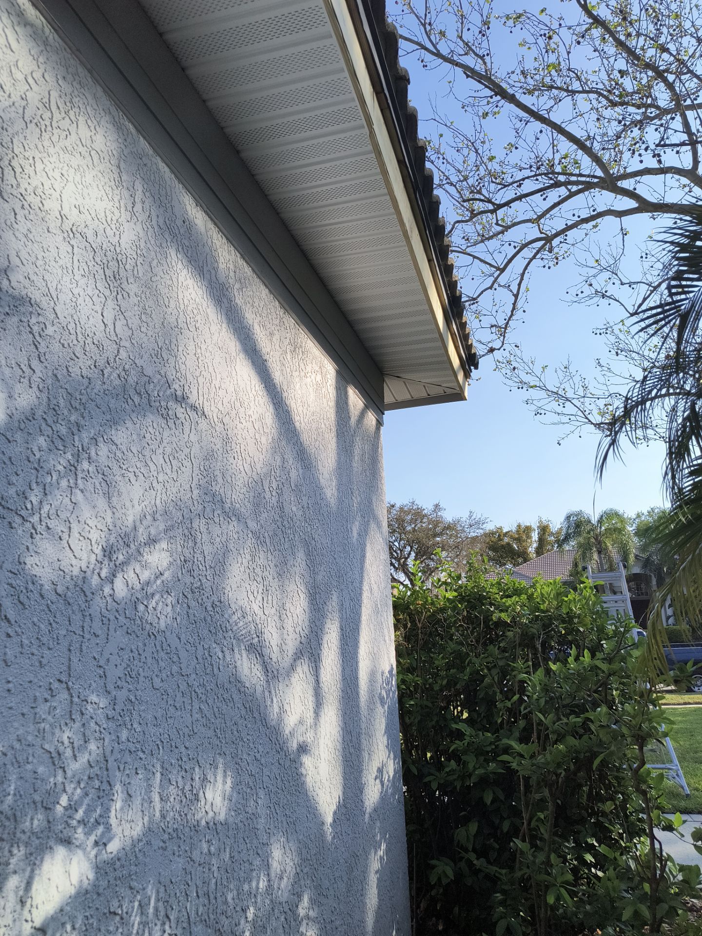 Complete Roofline Upgrade with Soffit, Fascia & Gutters Tampa FL by Gutter Professors