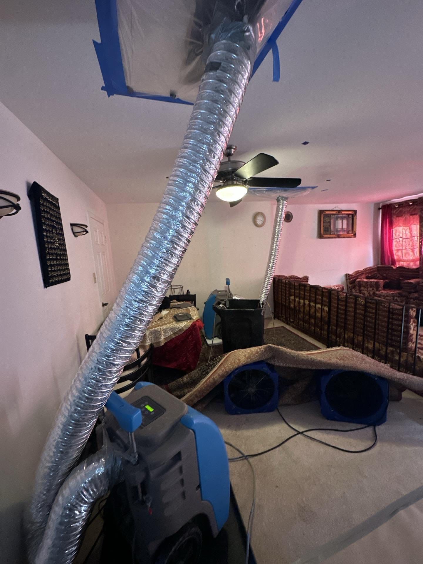 Project in Springfield by Restoration Doctor