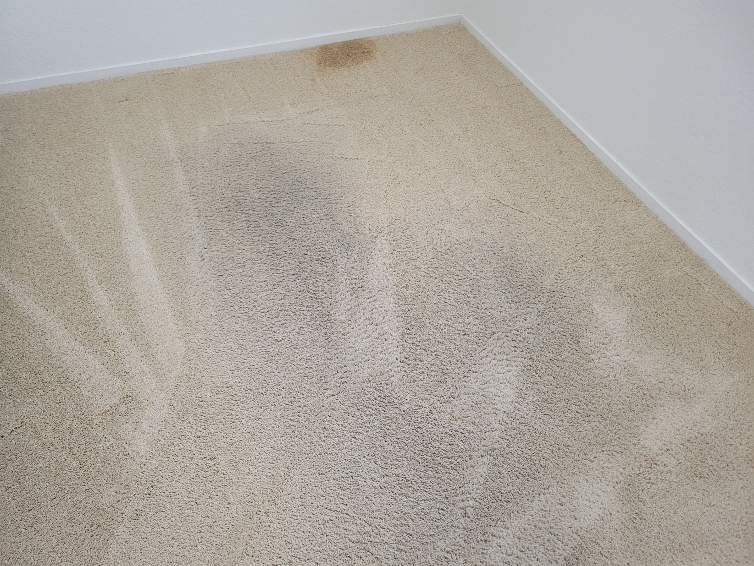 Carpet Re-stretching and Cleaning by Ardent Carpet Restore LLC