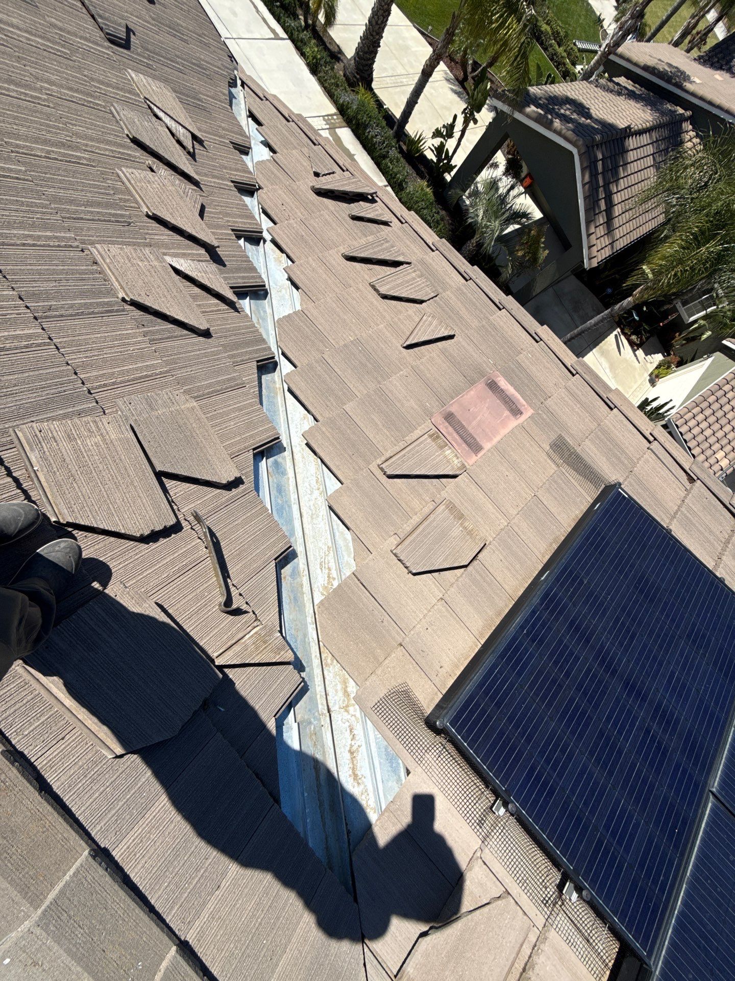 Project in Brentwood by Top Elevation