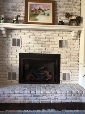 Mendota Gas Insert