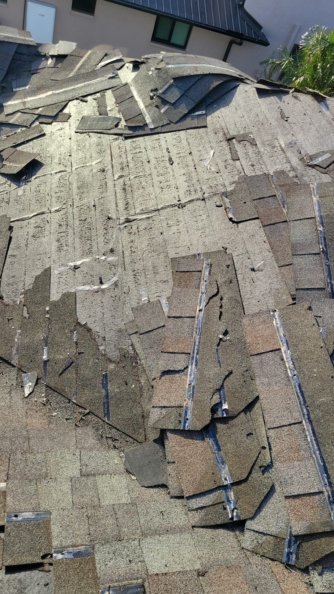 Shingle Roof Replacement by Four Peaks Roofing
