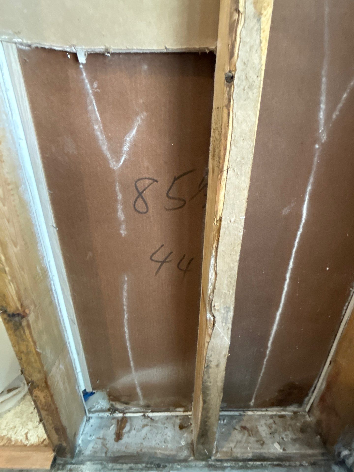 Mold Remediation Palmetto by Ampm Restoration Services 