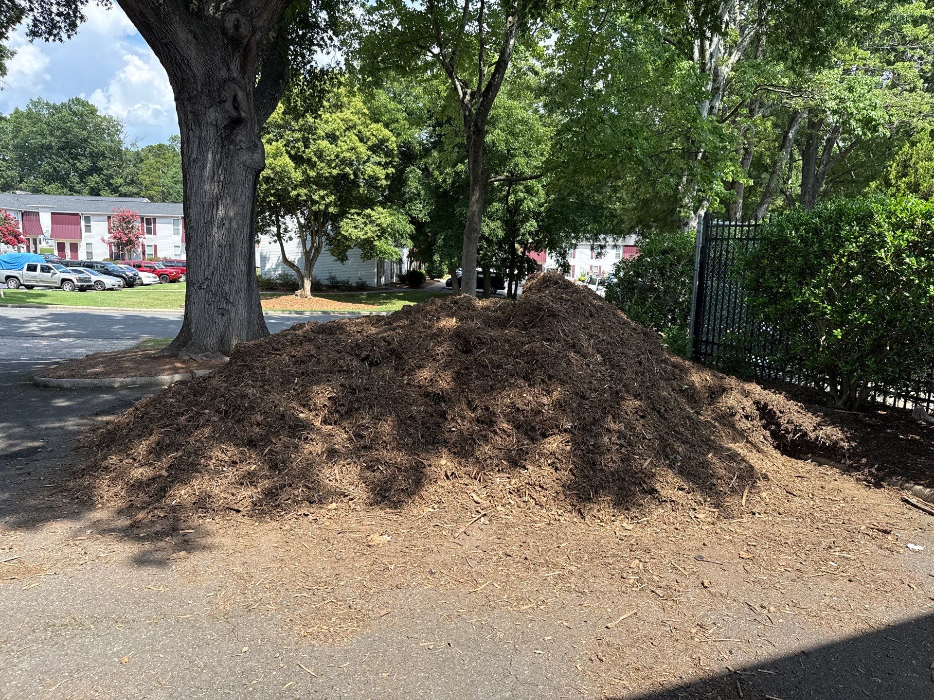 Project in Charlotte by Badger Hauling