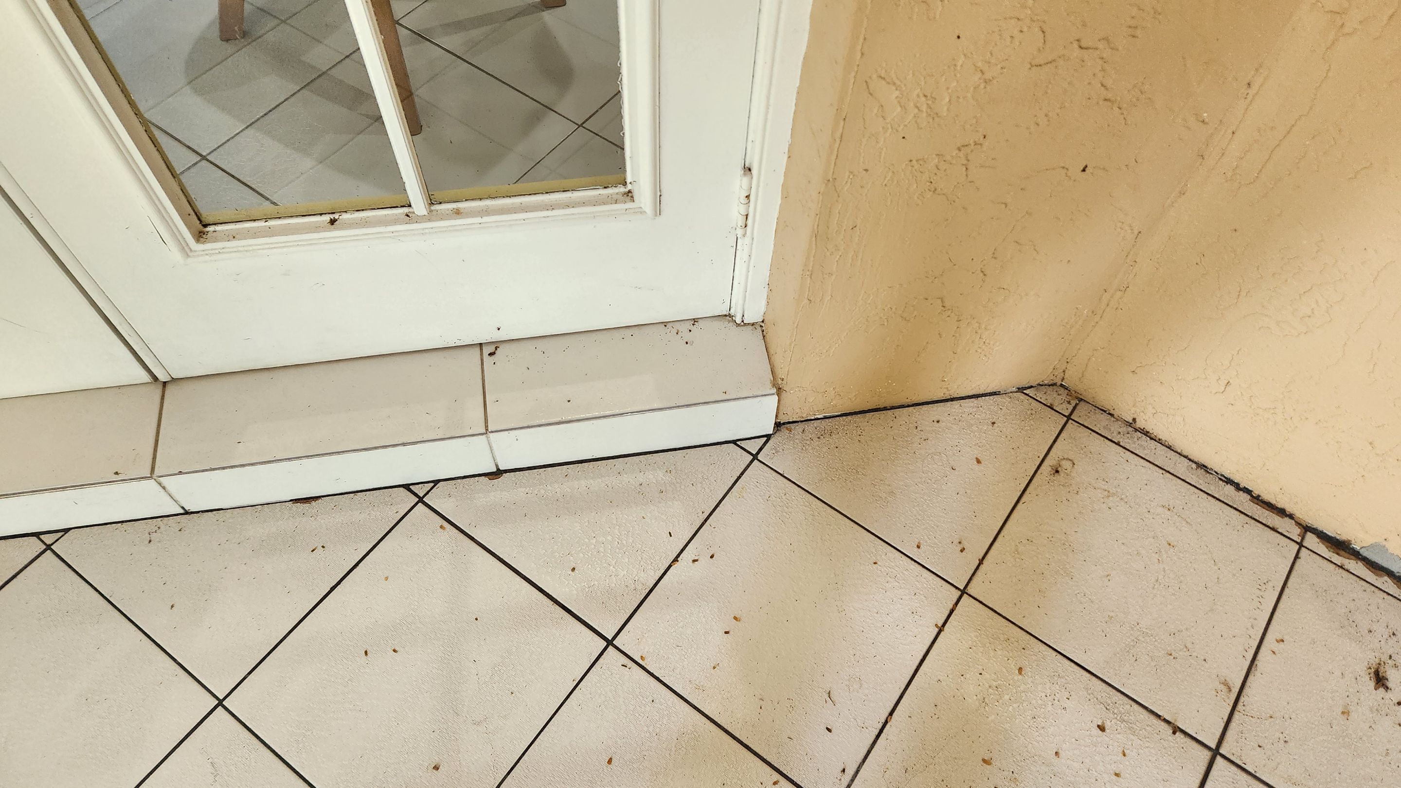 Water Damage Claim in Lauderhill by FLAPA & KeyStone