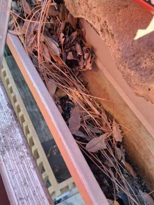 Gutter Cleaning Service in Sarasota FL