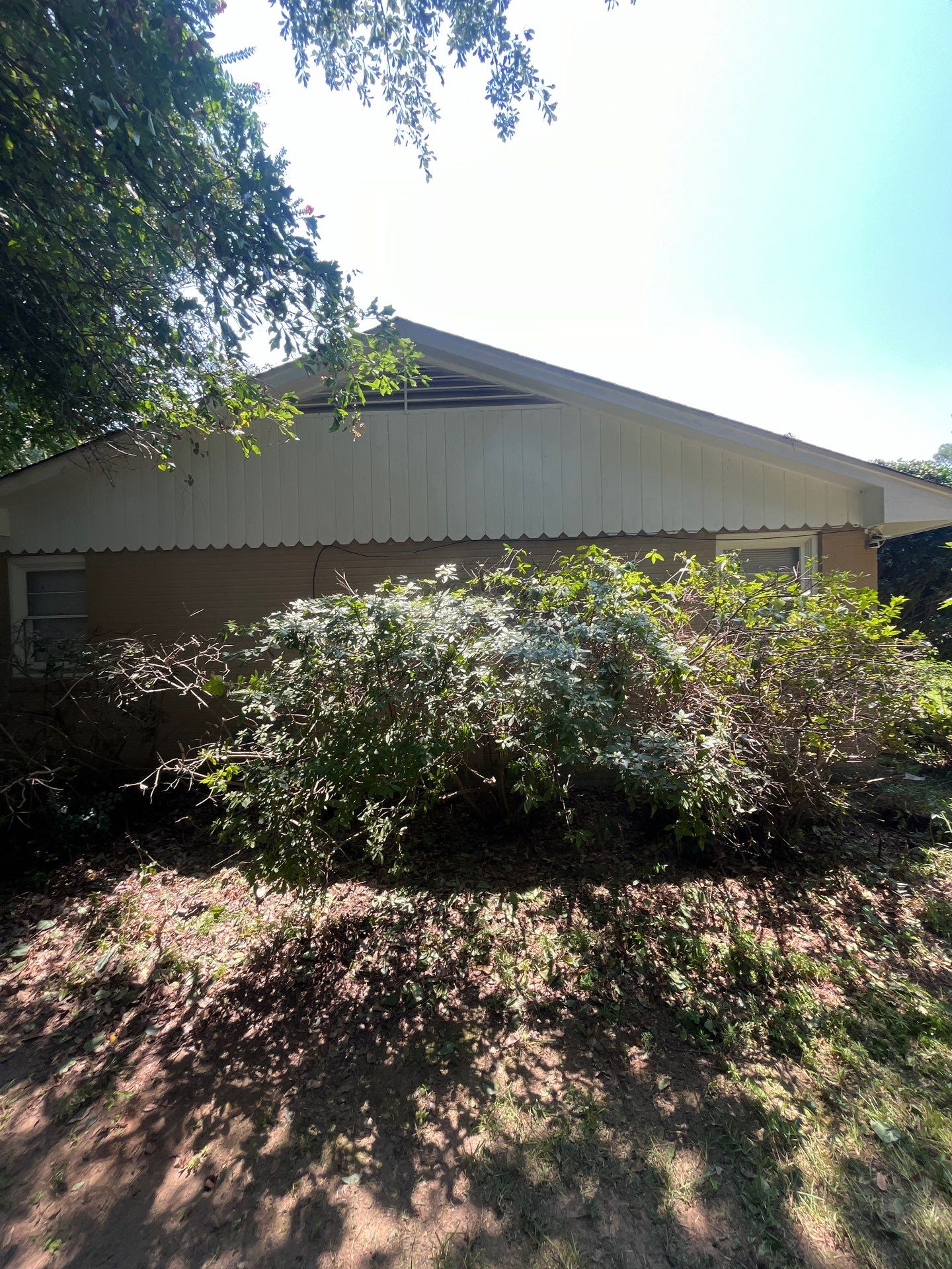 Yard Makeover by College Bros Outdoor services