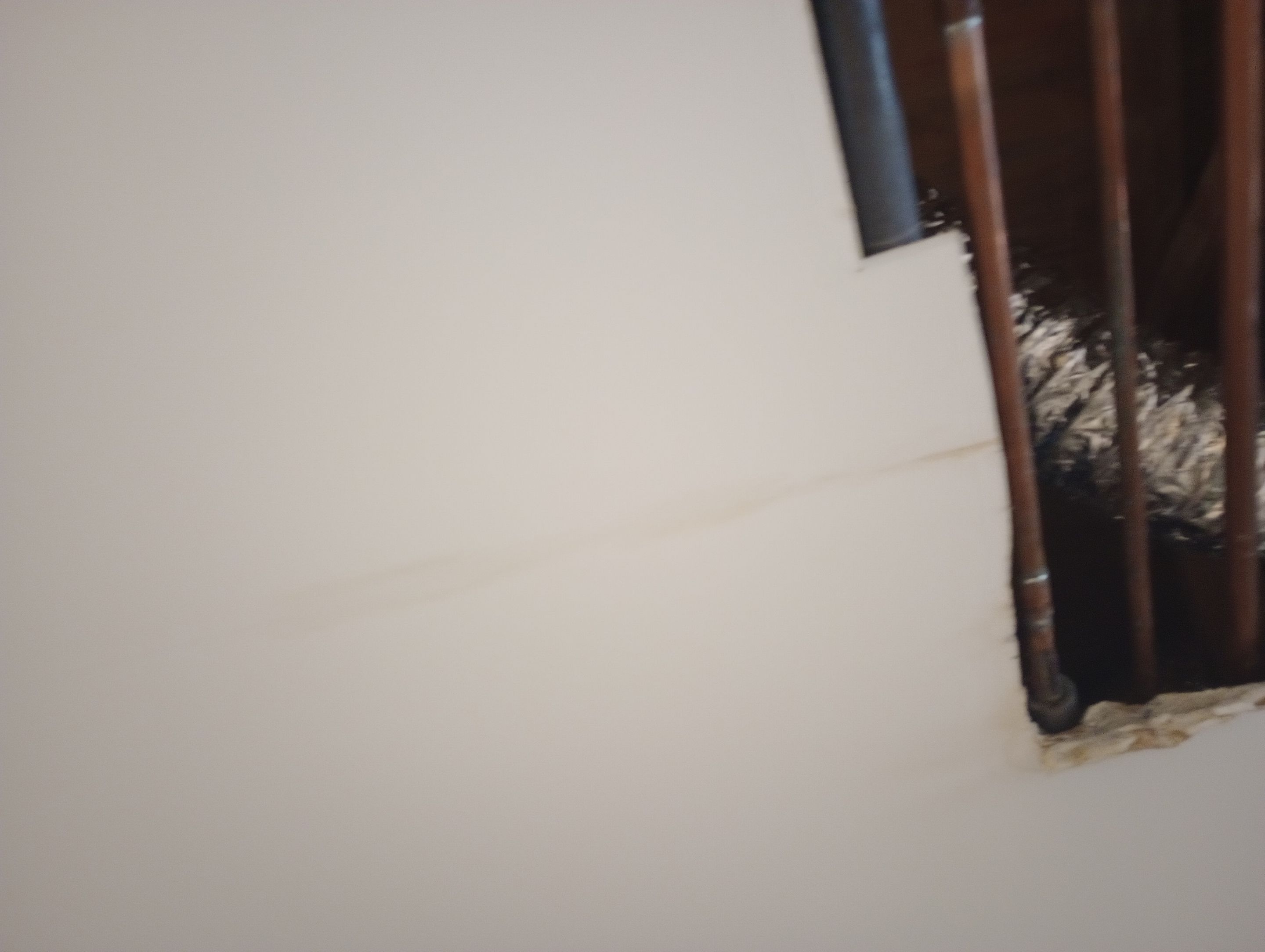 Mold Remediation and Water Mitigation in Louisville, KY by ANR Restoration