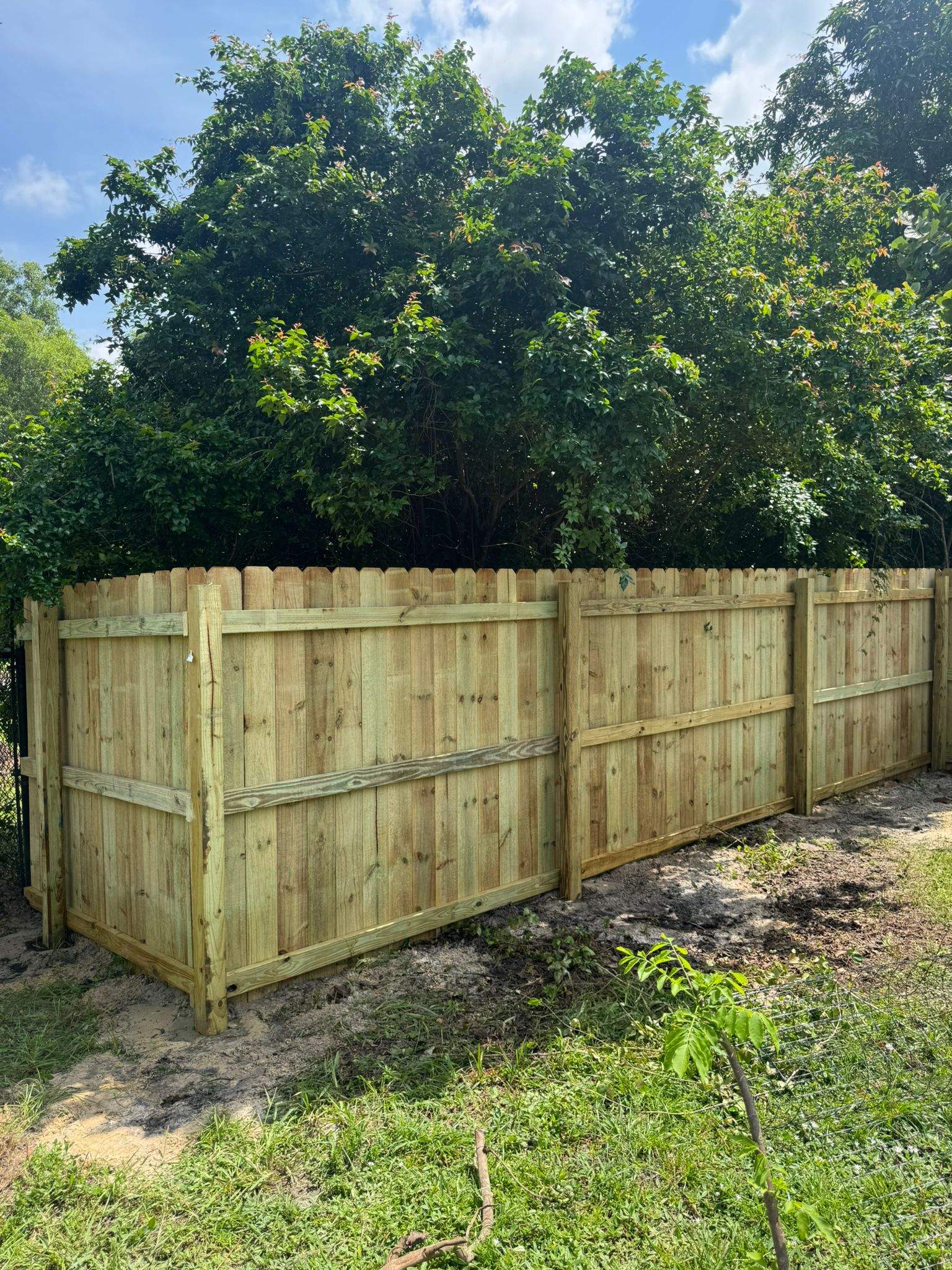 Pressure-Treated Wood Privacy Fence with Dog-Ear Pickets in Lehigh Acres by True Fence LLC