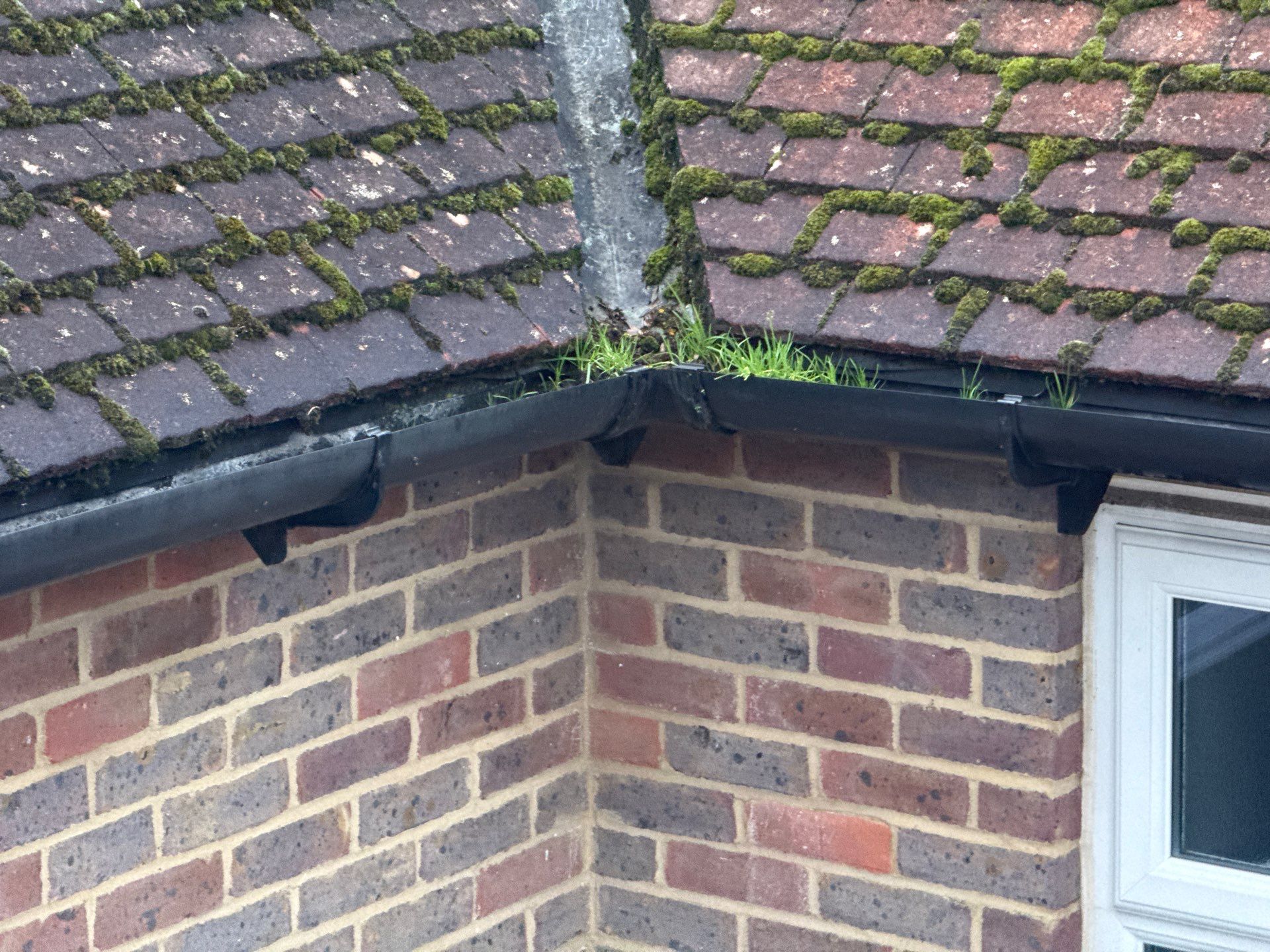 Roof And Render Clean by Ges Exterior Cleaning ltd