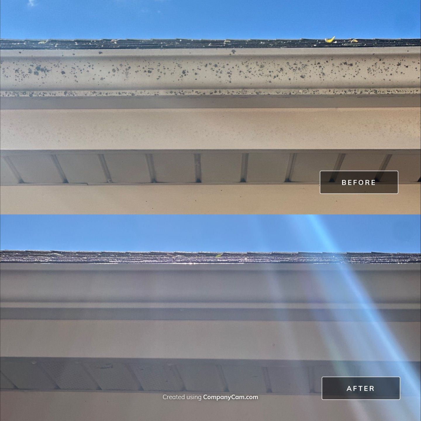 Project in Arlington Heights by Simmons Power & Soft Washing