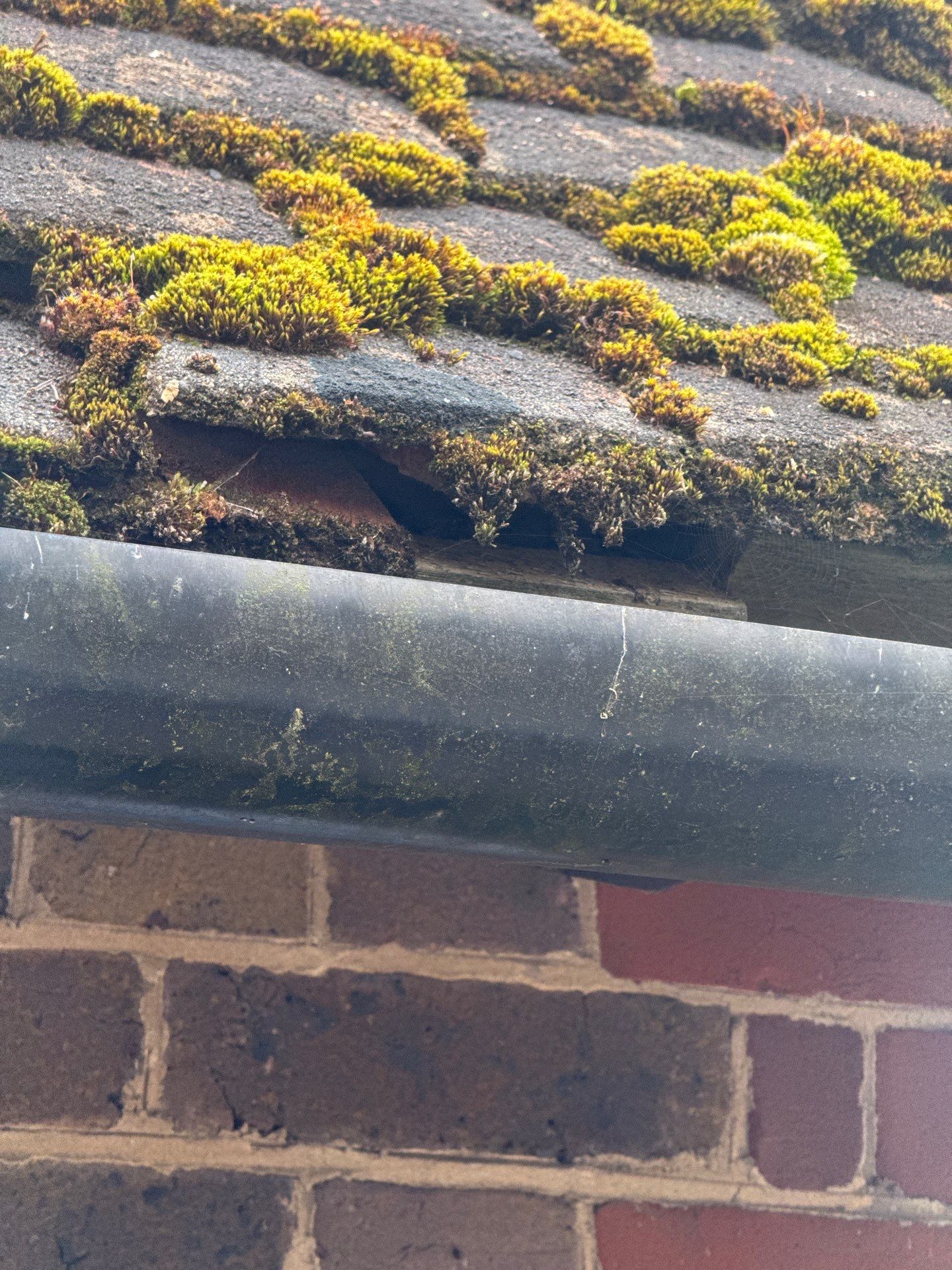 Roof Clean  - Moss Removal - Gutter Clean using Honda 15lpm Low Pressure Washing Machine by Ges Exterior Cleaning ltd