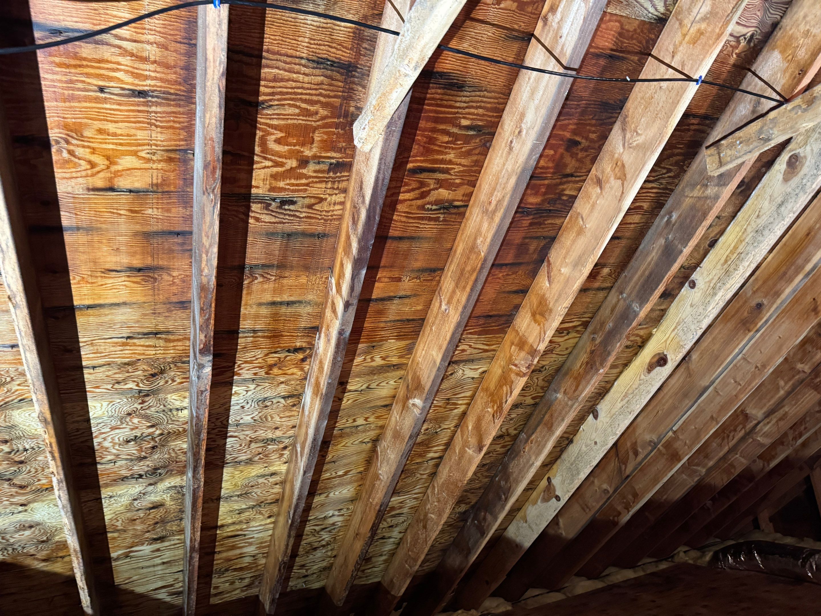 Attic Mold Remediation using Home Guarantee by Home Guarantee, LLC