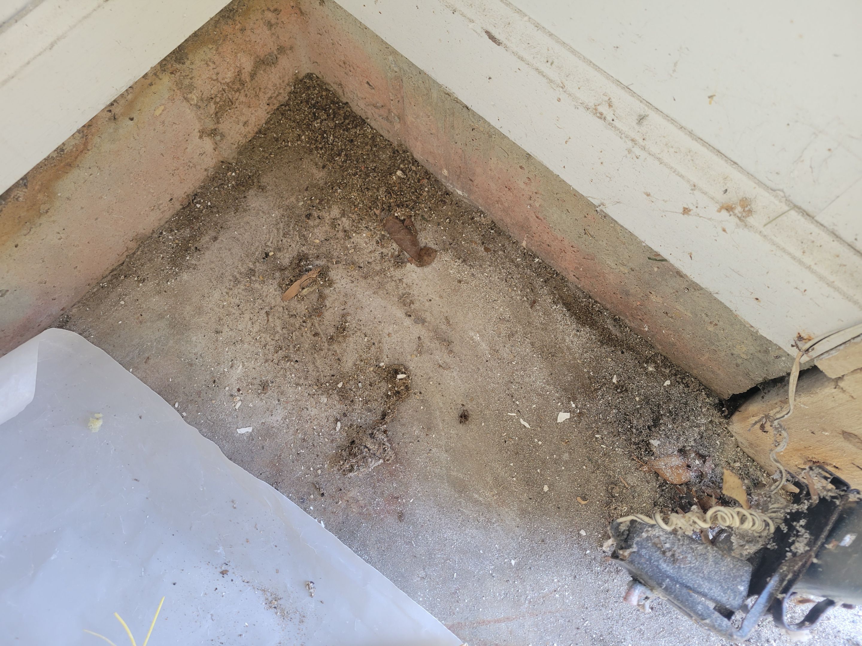 Garage Ceiling Water Damage/Mold Remediation by Chicagoland Water Medics