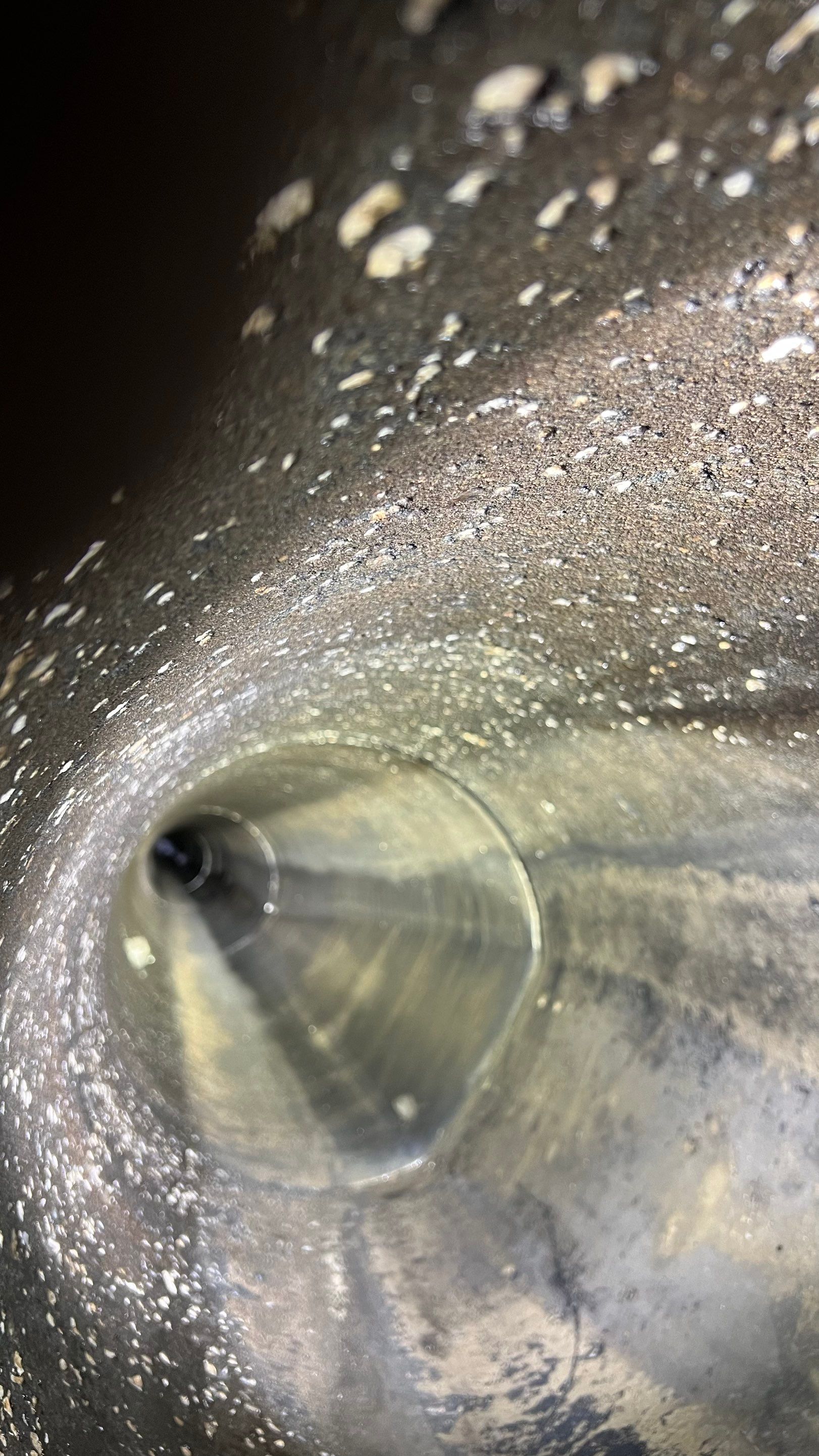 Naples Community Storm Water System Maintenance by APS Power & Water