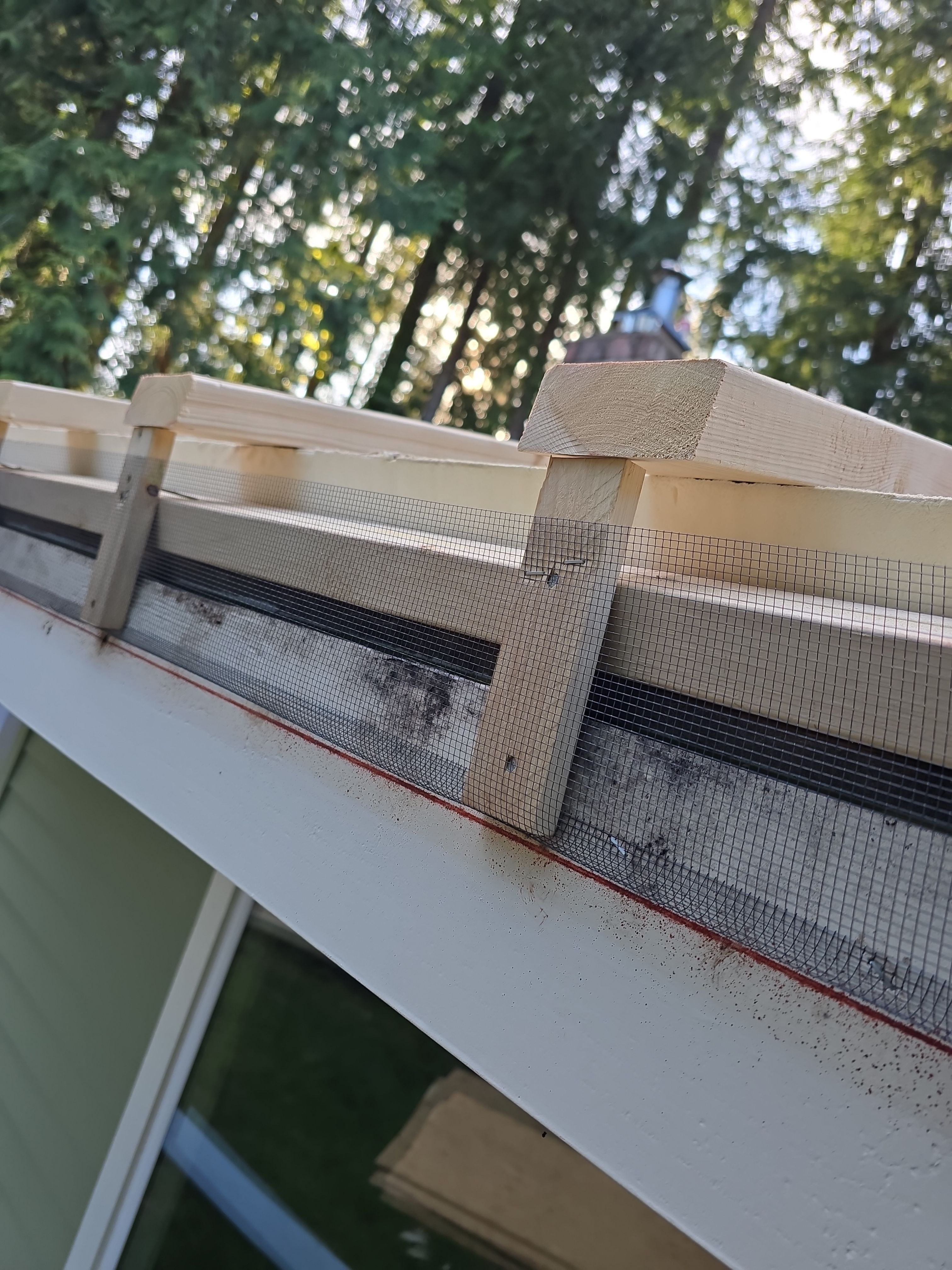 EuroShield Project in Bellevue by Roof Smart