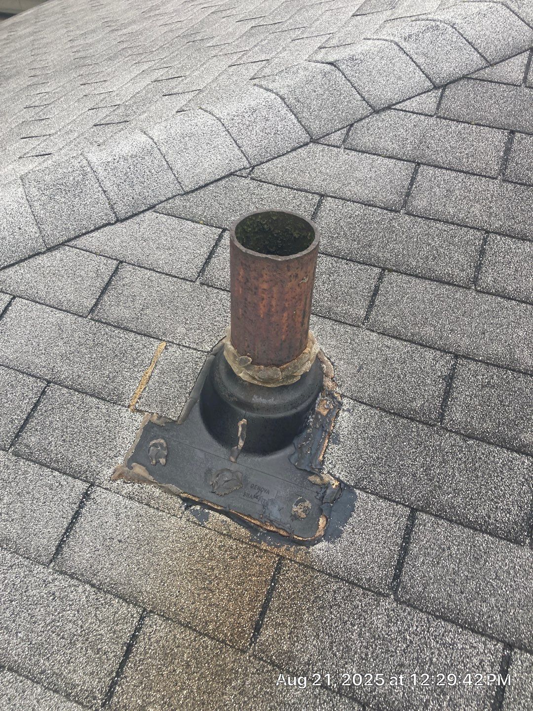 Shingle Roof Replacement by Absolute Roofing and Construction