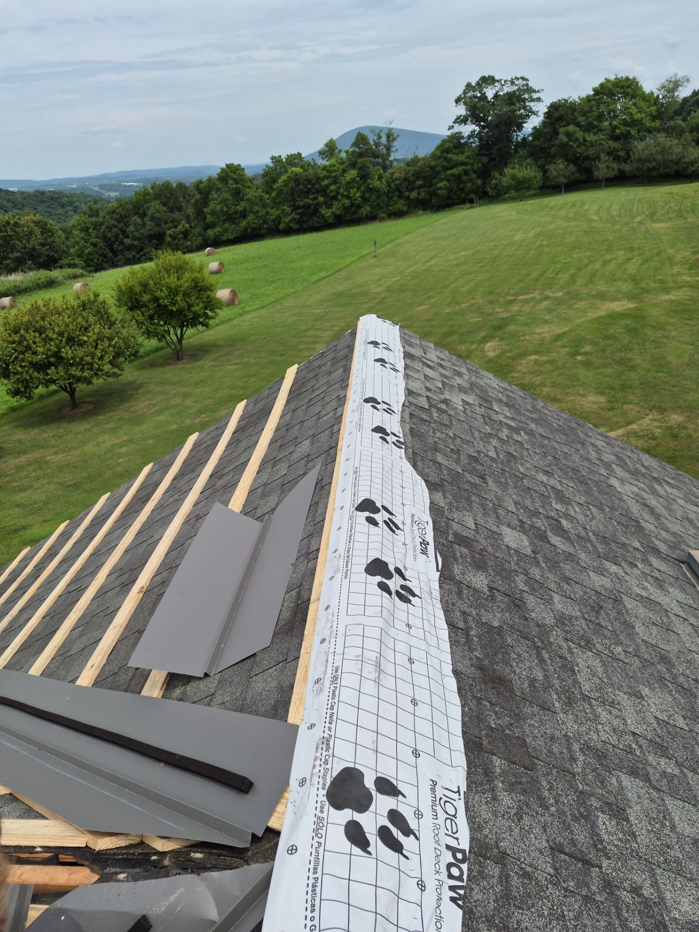 Newport Metal Roof Replacement with New Skylights by Esh Builders