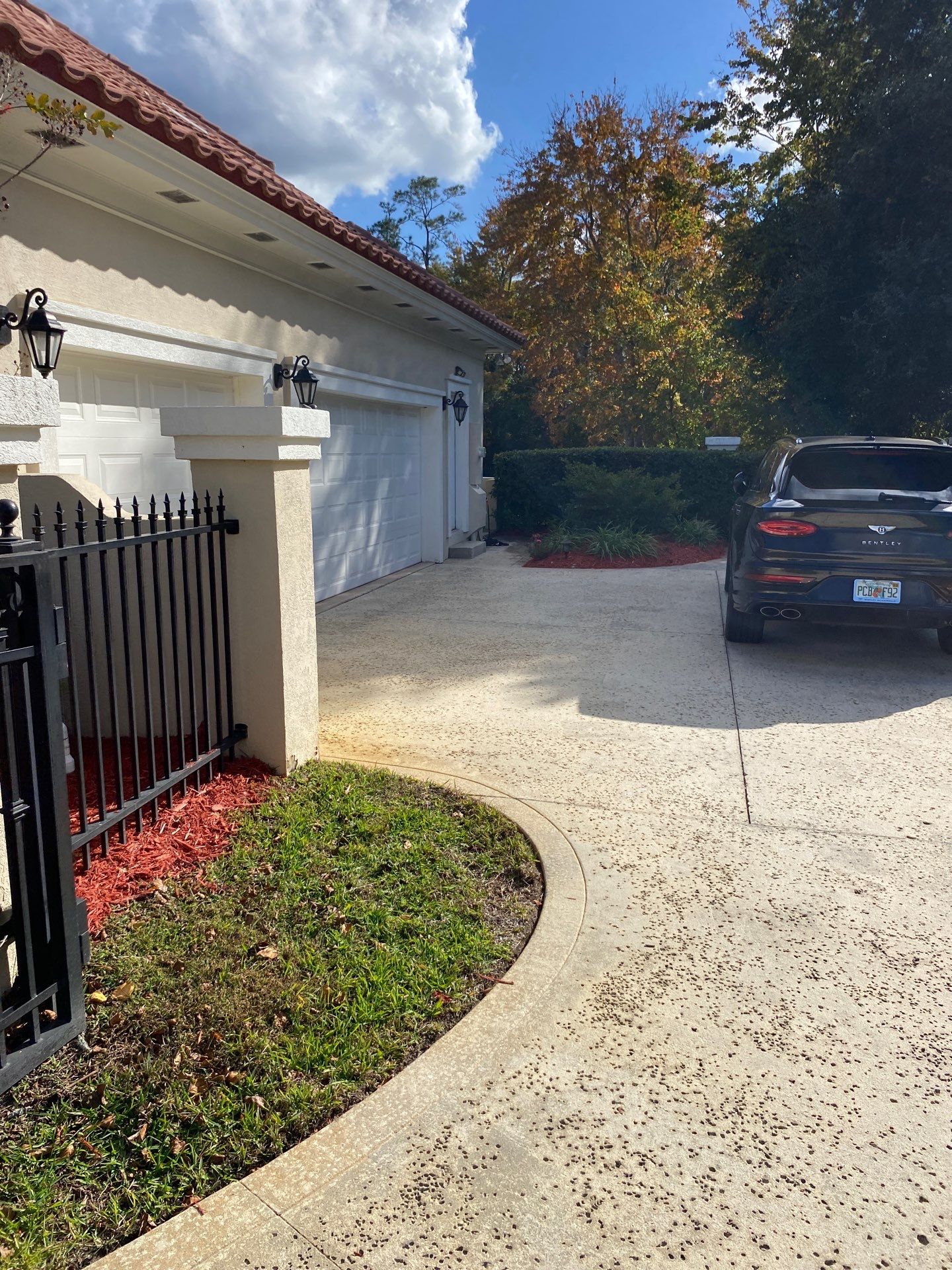 Deerwood Resident | Palm Trimming & Ground Cover by ProGreen Services