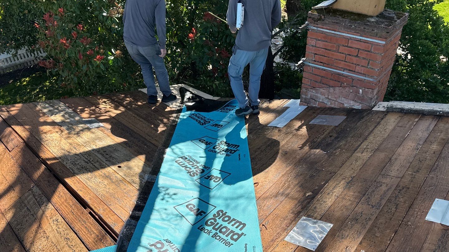 Willa Holmstock by NuLead Construction Inc