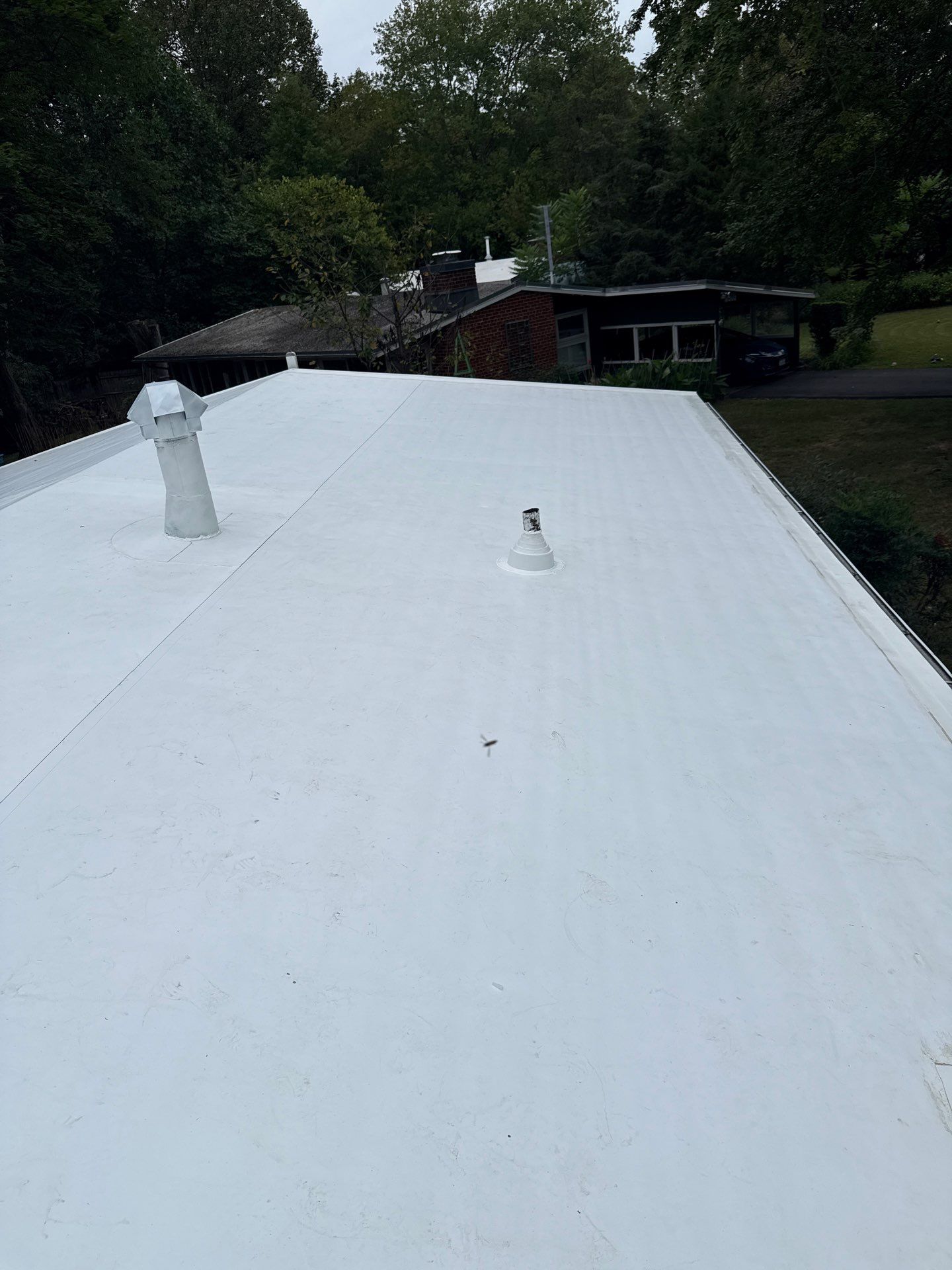 Falls Church :  TPO by RM Banning, Inc.