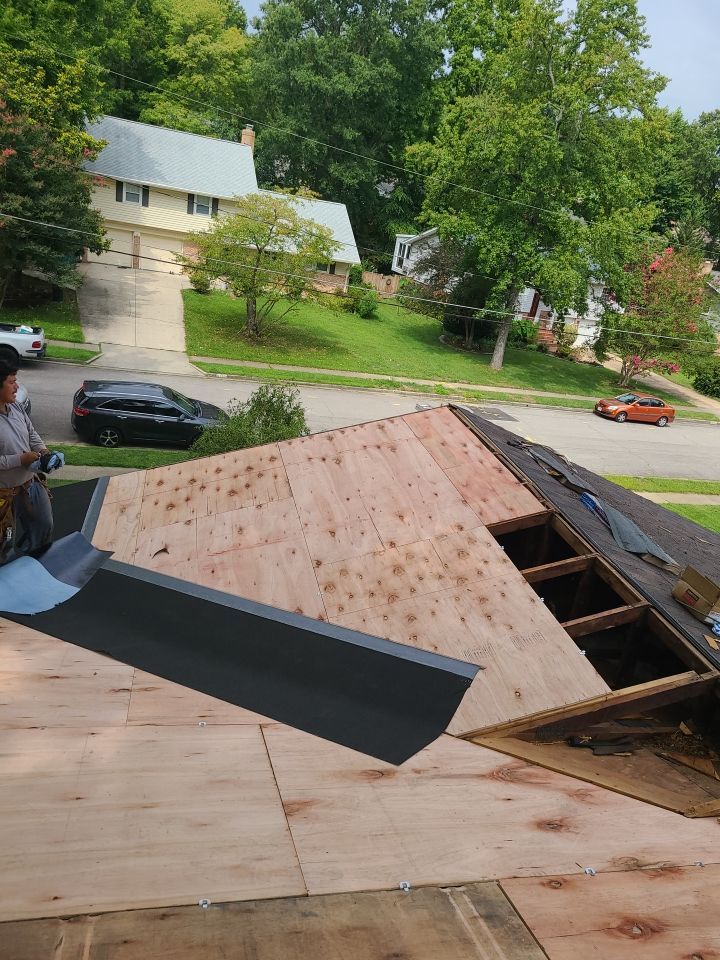 Alexandria: CertainTeed Landmark Pro Architectural Shingles in Max Def Shenandoah by RM Banning, Inc.