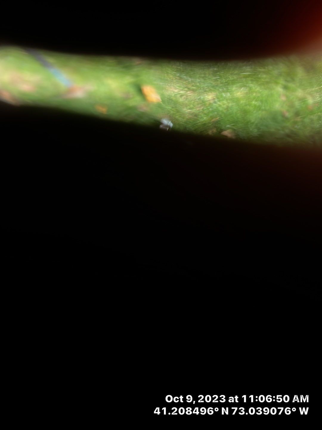 Residential Roofing Installation using Owens Corning TruDefinition Duration AR - Onyx Black & New Siding Install using Certainteed Sterling gray by A Plus Exterior