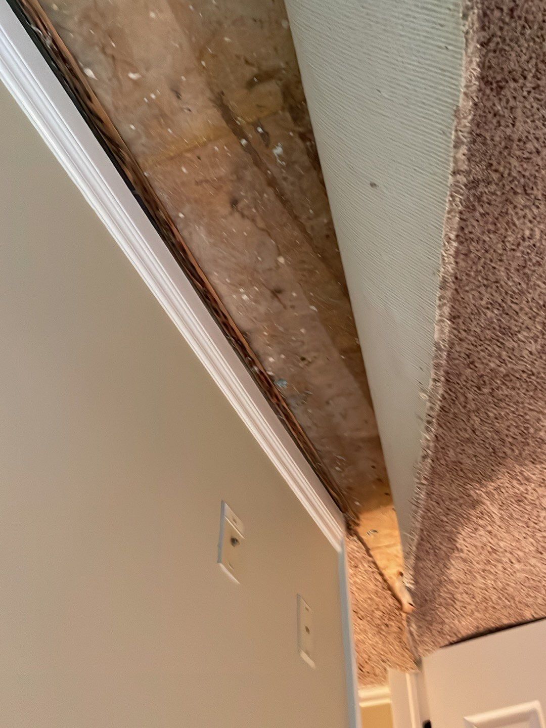 Project in Novi by EzDry Water Mitigation & Property Restoration